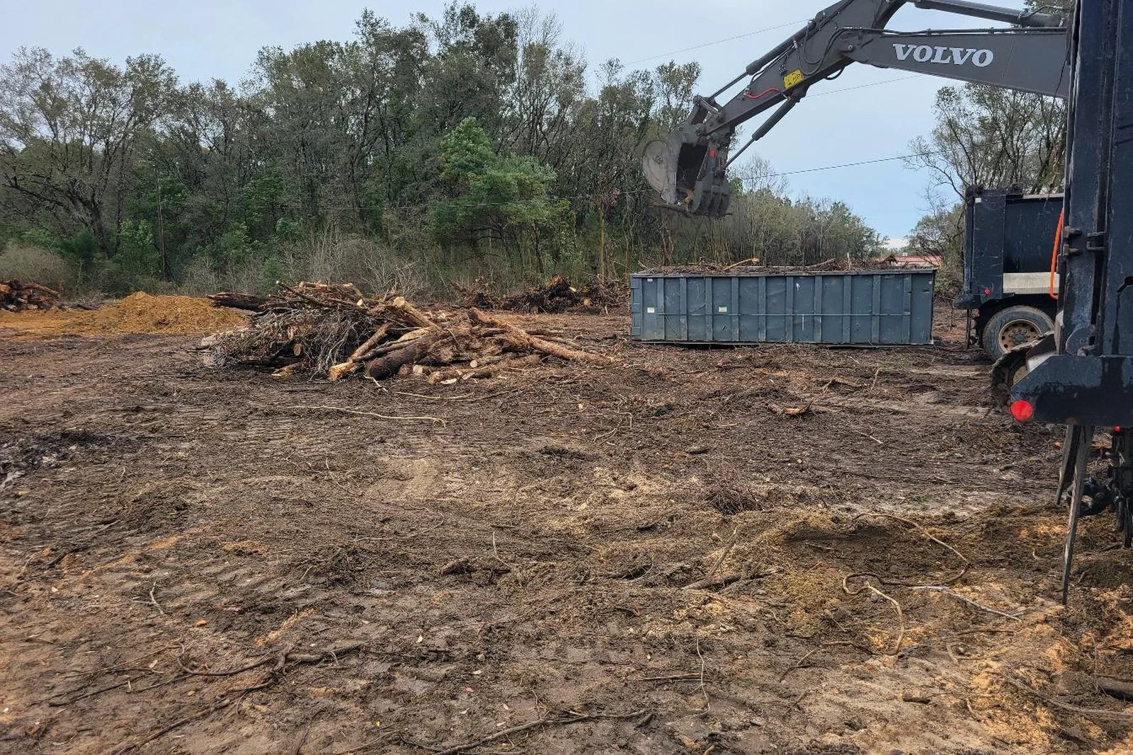 Storm Debris Cleanup: What We Haul, Where It Goes and What Your Adjuster Wants