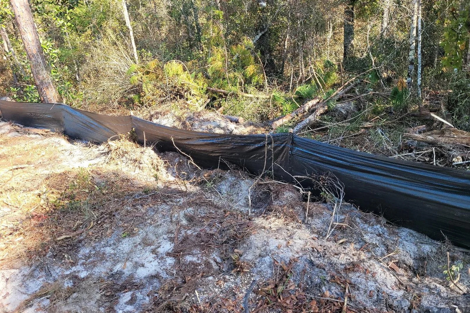 Do You Need a Permit to Clear Land in Walton County?