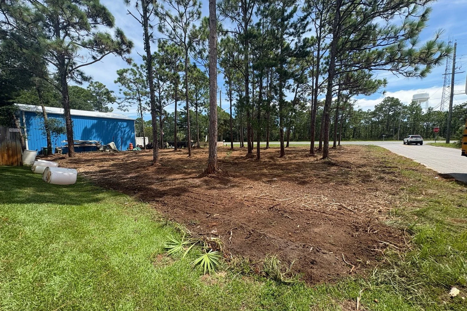 Forestry Mulching vs Bush Hogging: Which One Your Acreage Needs