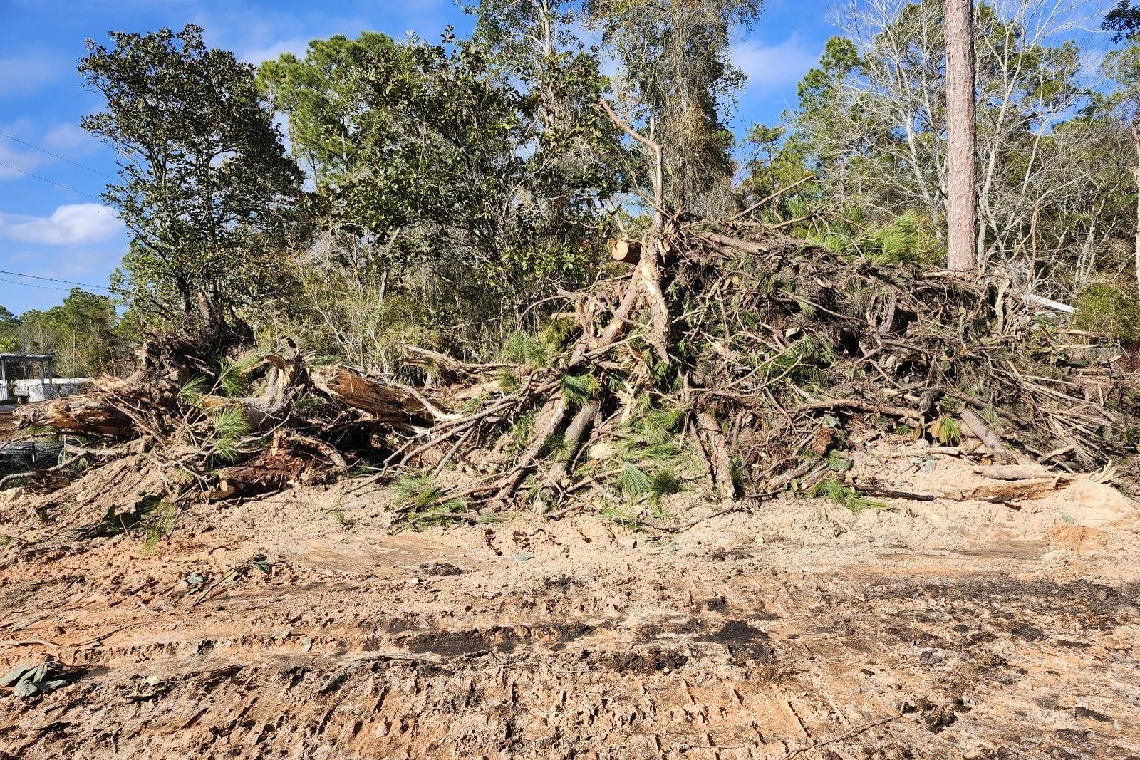 Clearing Storm Damaged Lots After a Hurricane