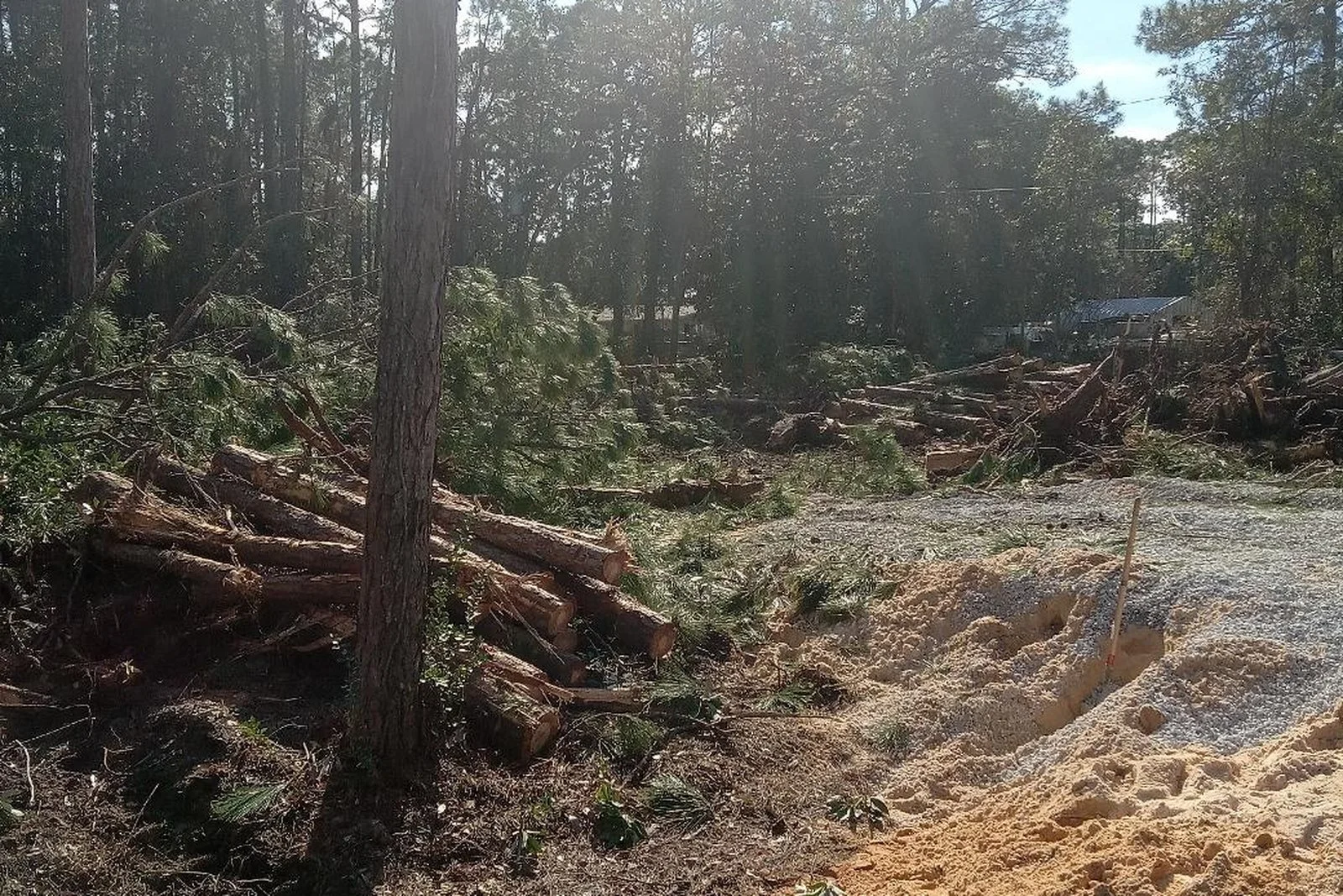 Clearing a Wooded Lot for a New Home, Step by Step