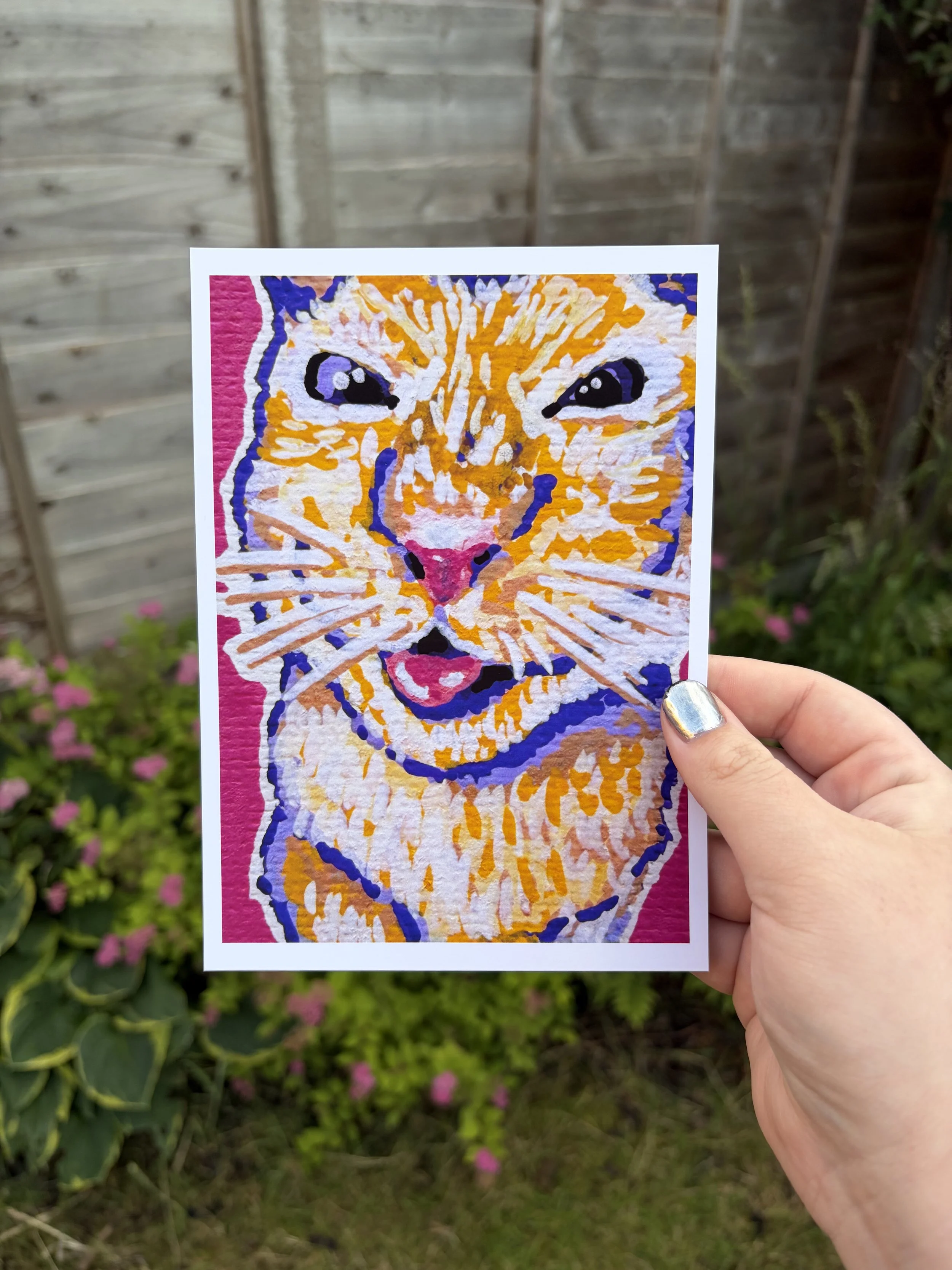 Mischief — colourful cat art print