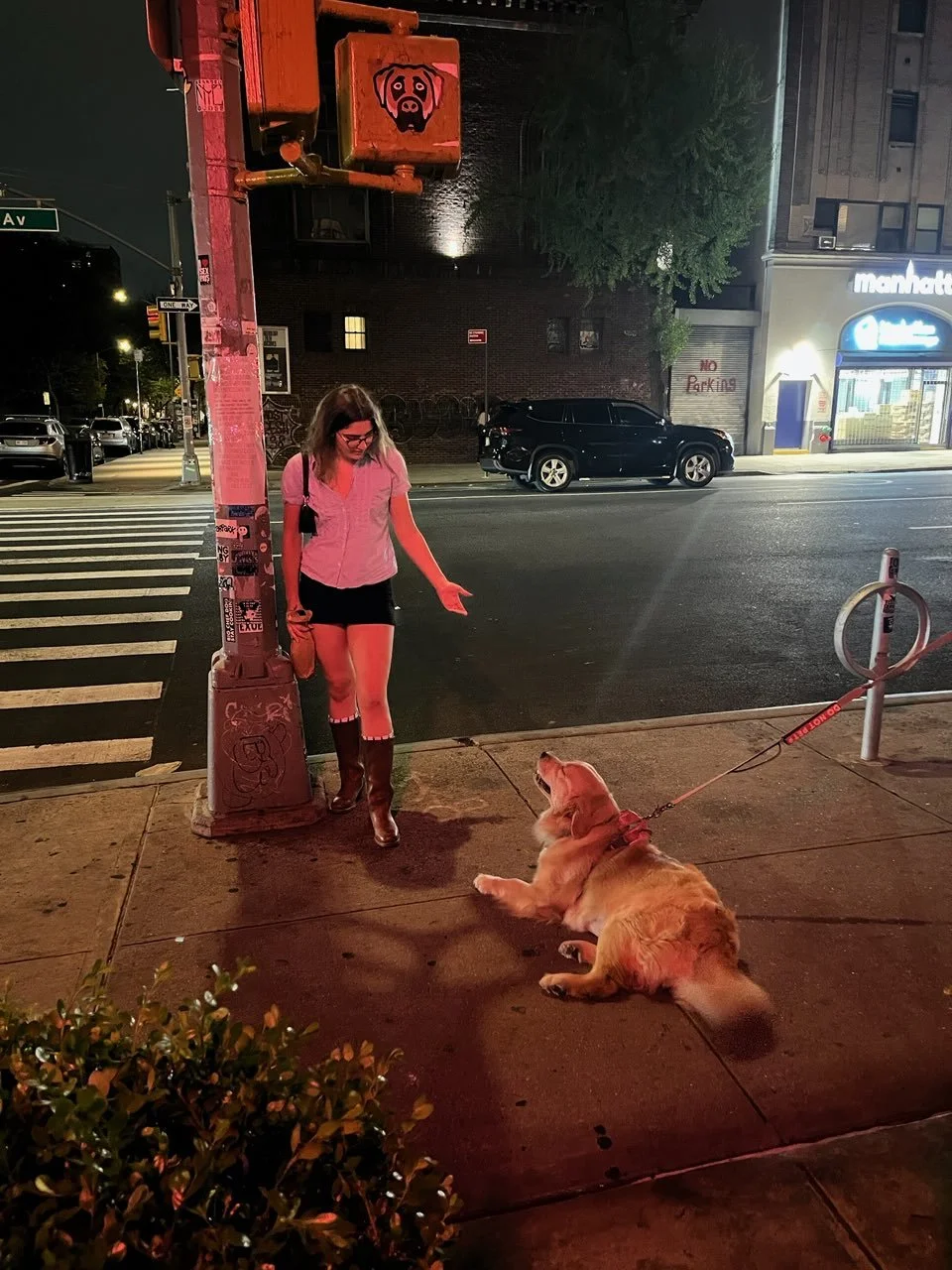 A woman with glasses, wearing a pink shirt and black shorts, talks to a golden retriever lying on the sidewalk at night. The dog is on a leash, and the woman points towards the dog. There are parked cars, a building with a store, and streetlights in 