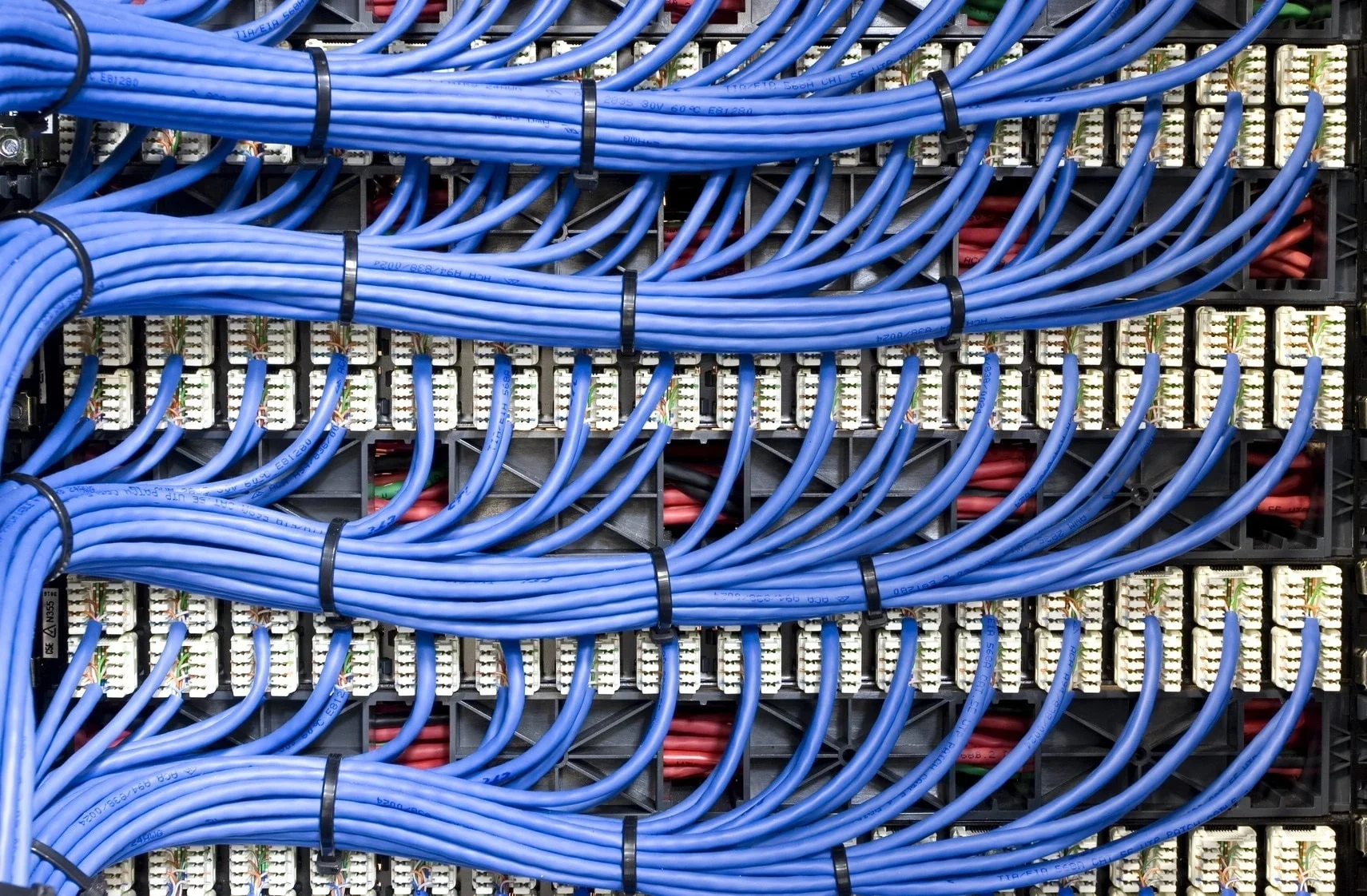 A close-up view of a network server with multiple blue Ethernet cables connected to it, organized and bundled with black cable ties.