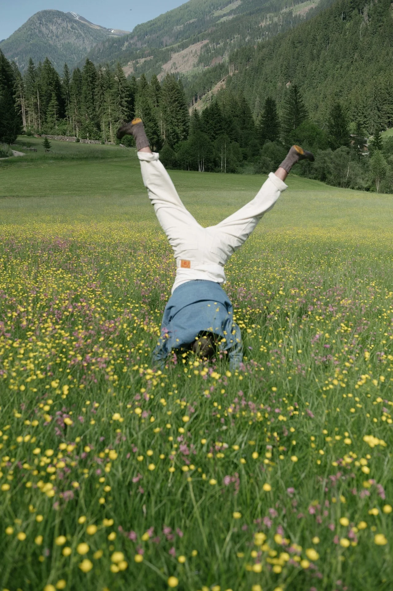 Person doing a handstand in a grassy field with yellow and pink wildflowers, surrounded by forested mountains and trees.