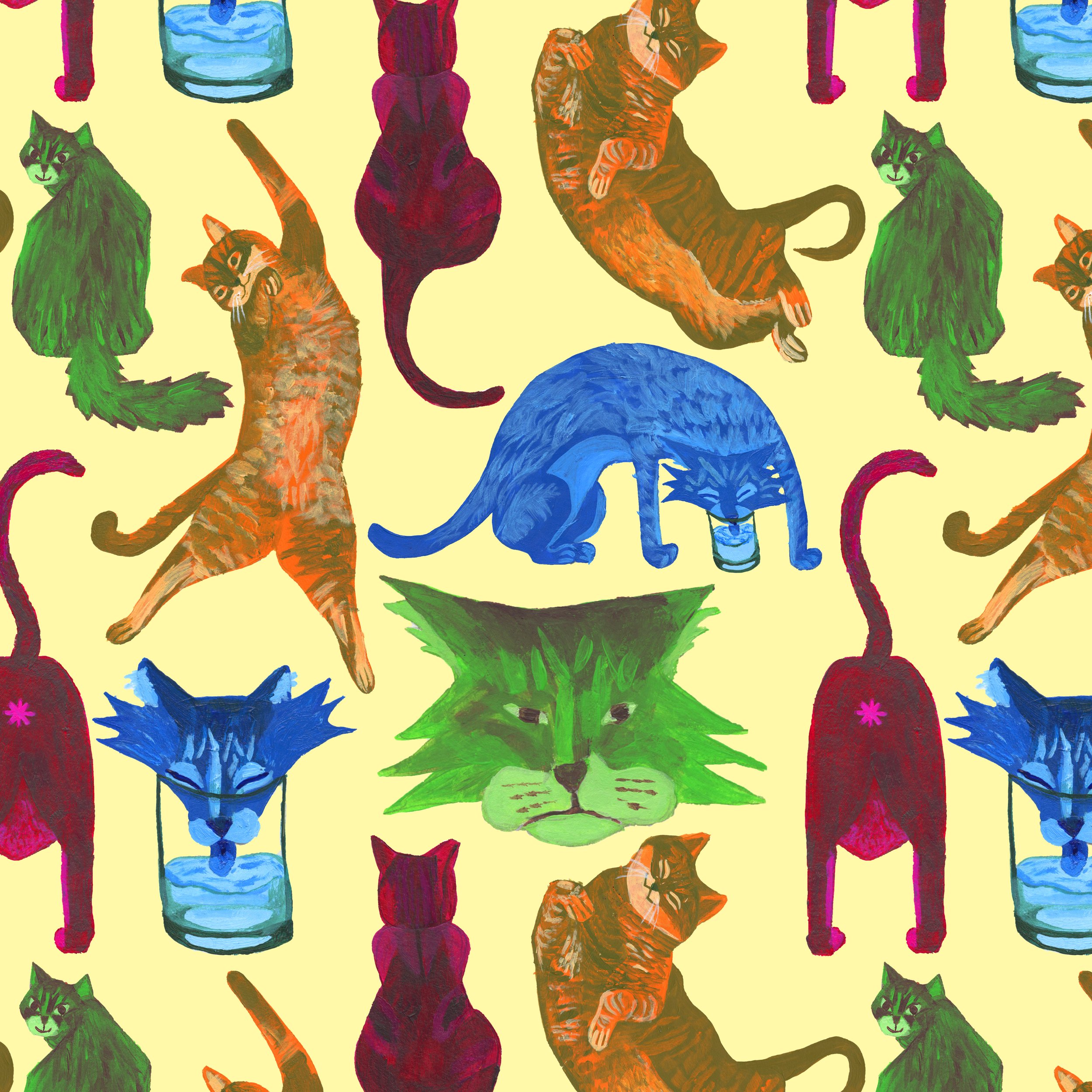 House Cats