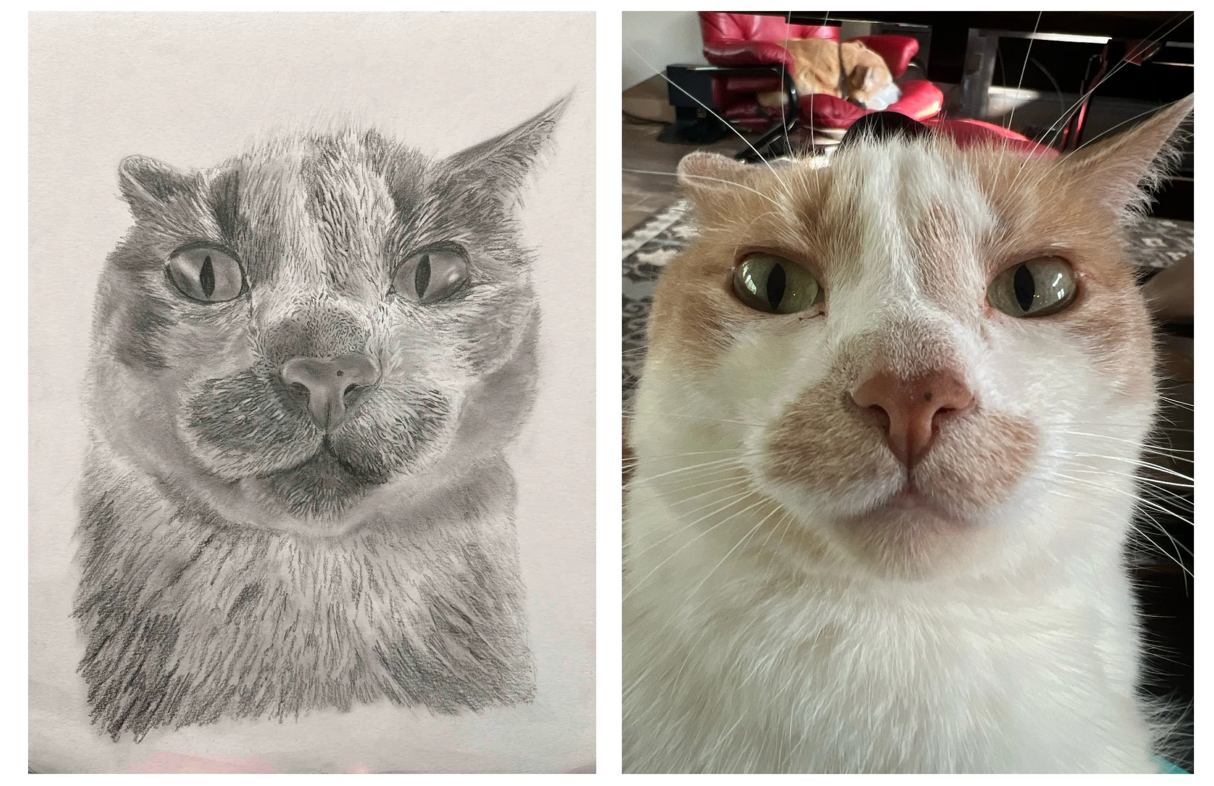 mooshu.jpg