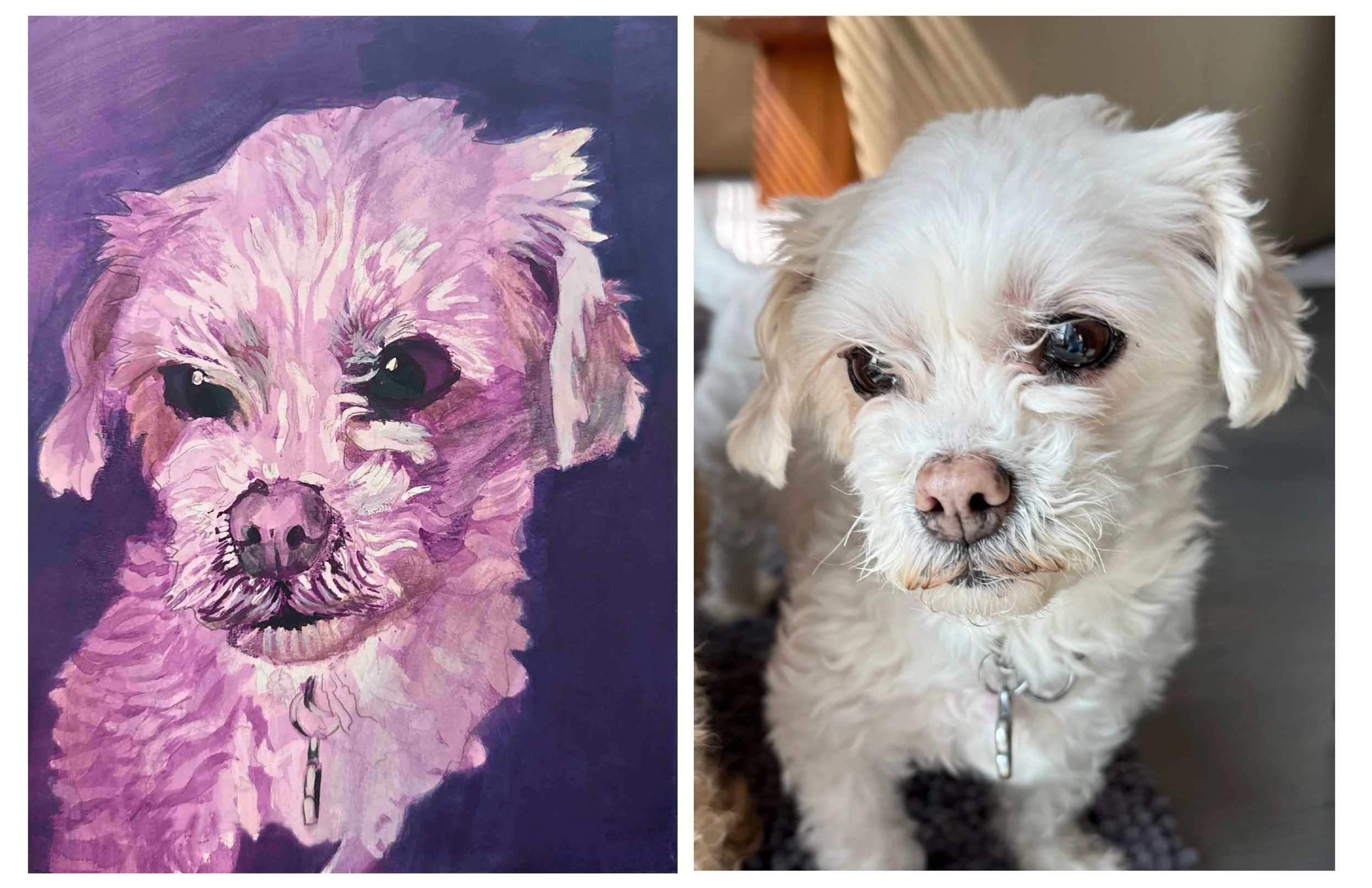 Nala_ink.jpg