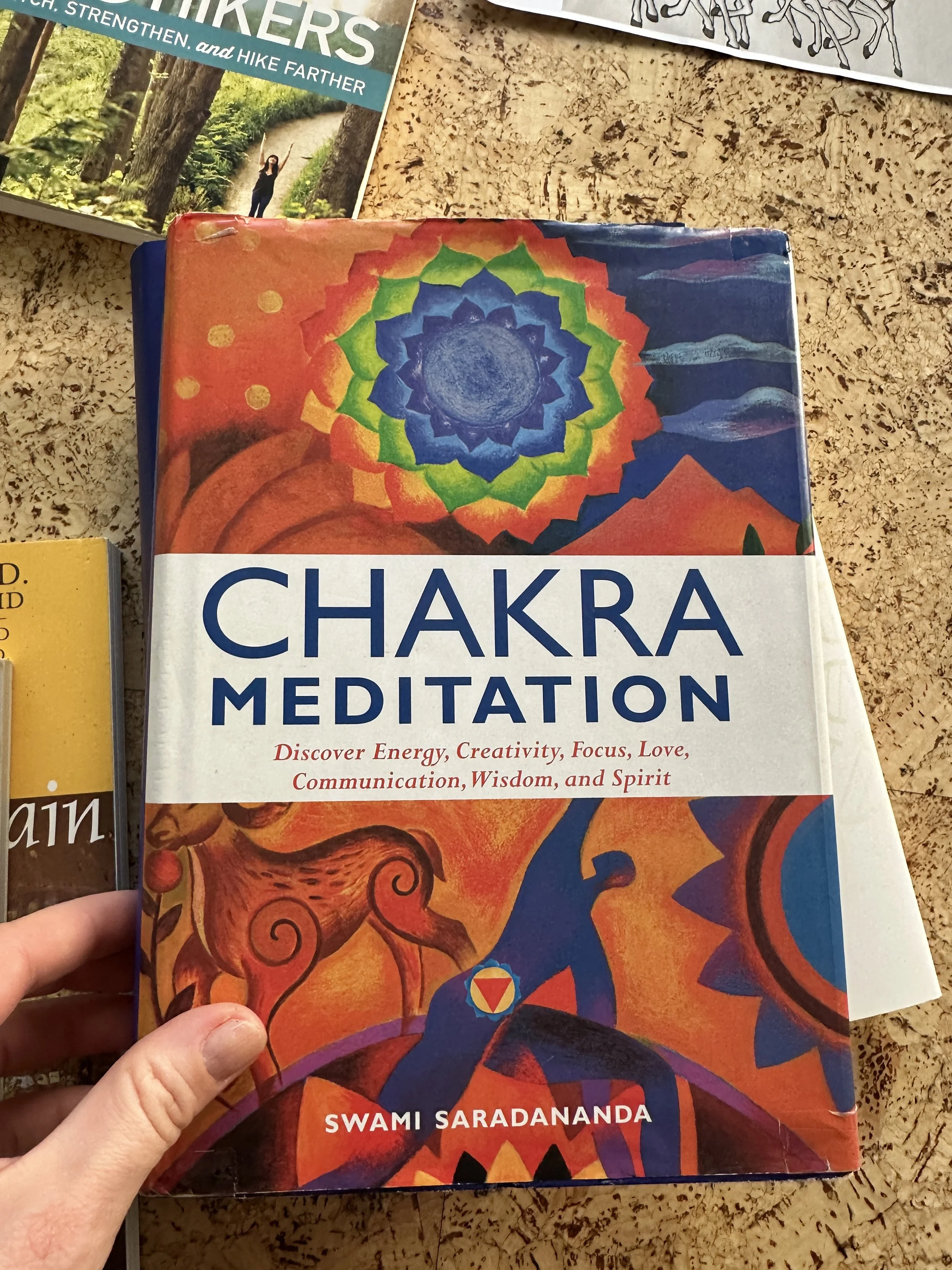 A book titled 'Chakra Meditation' by Swami Sadananda. The cover features a colorful, abstract depiction of chakras with a background of various designs and colors.