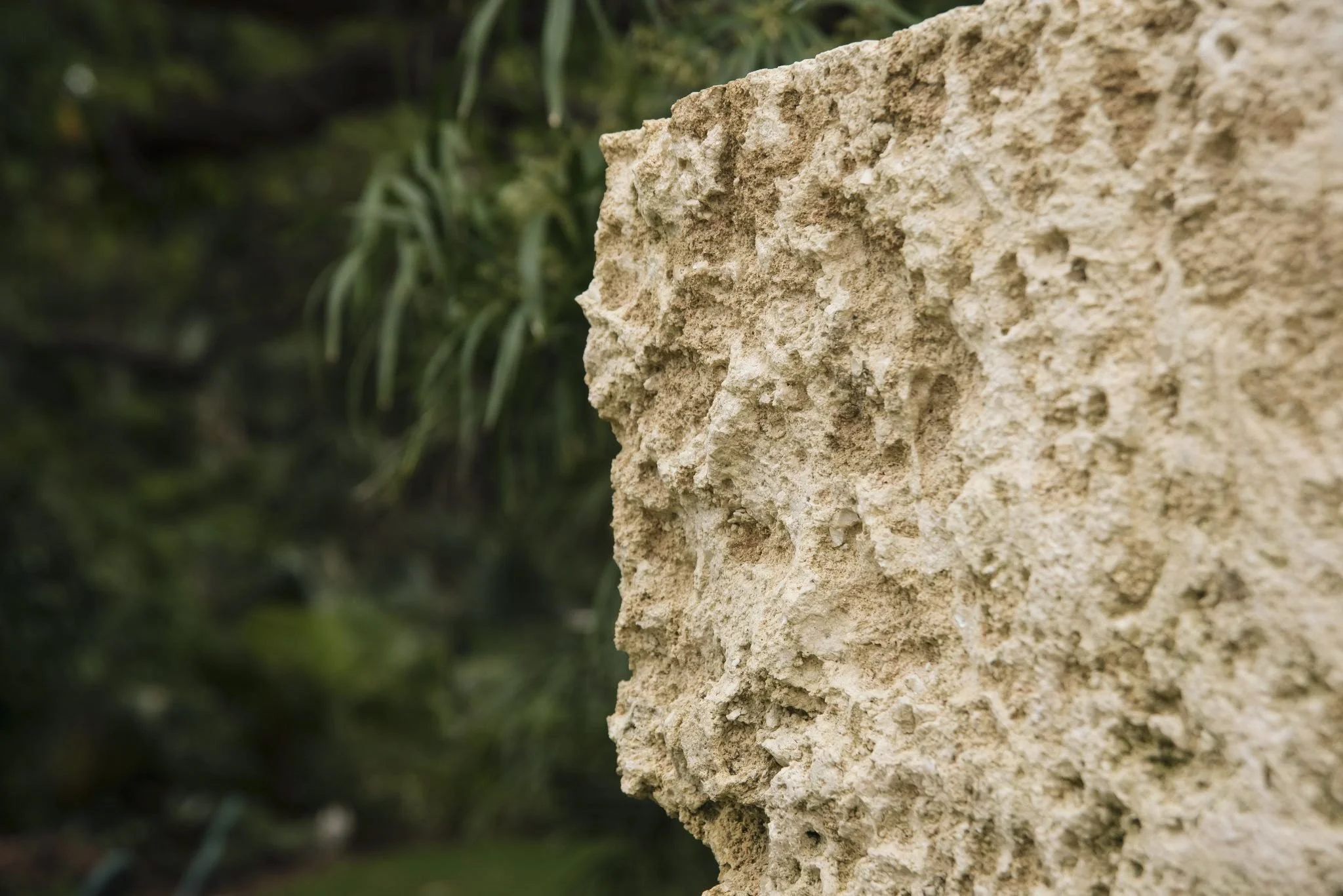 Close-up of rough-textured beige stone wall with blurred green foliage in the background.