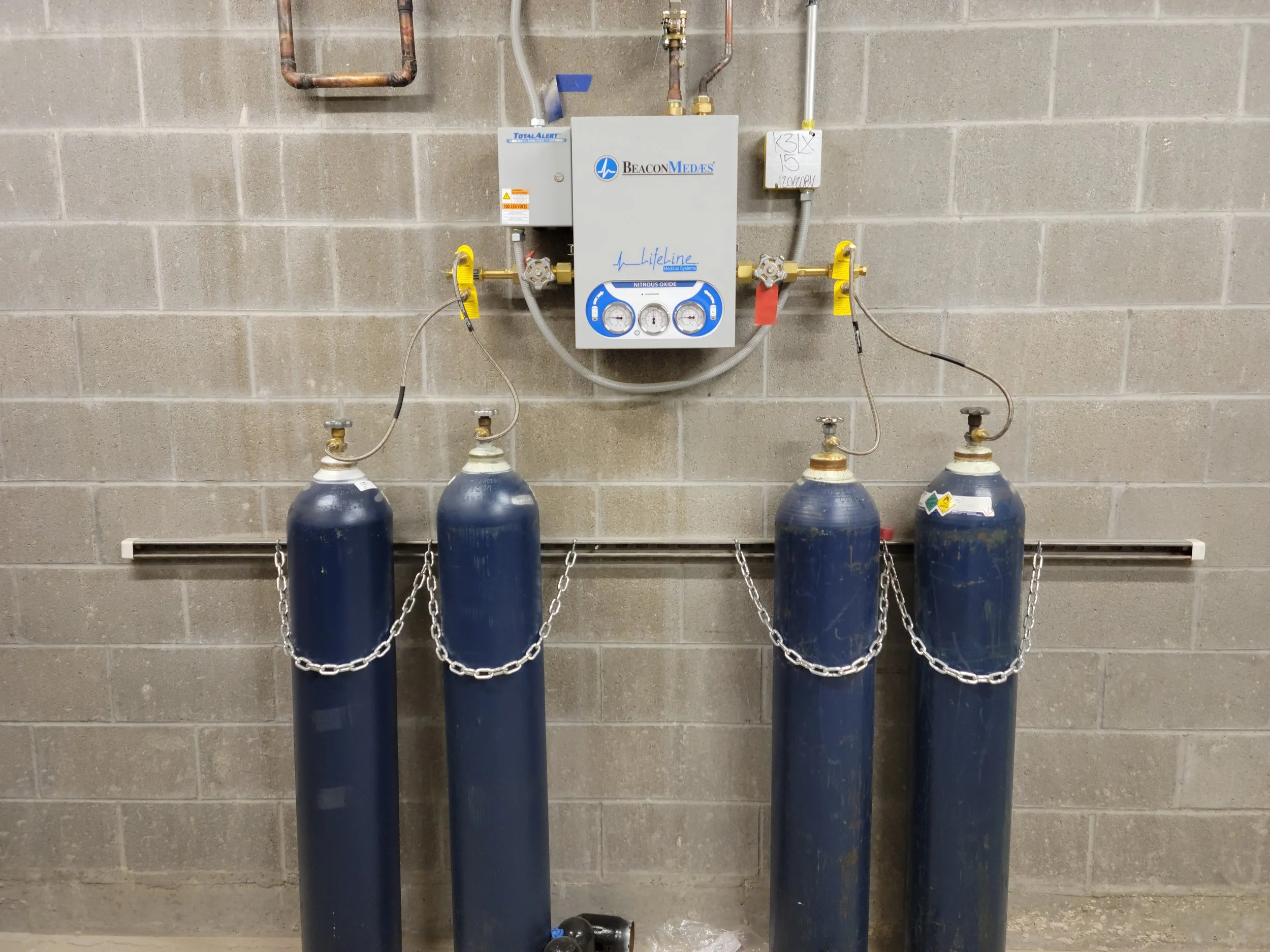 A medical nitrous oxide manifold system mounted on a cinder block wall, including four blue oxygen cylinders connected by chains, a control box labeled 'Lifeline Medical Systems' for nitrous oxide, and various pipes and gauges.