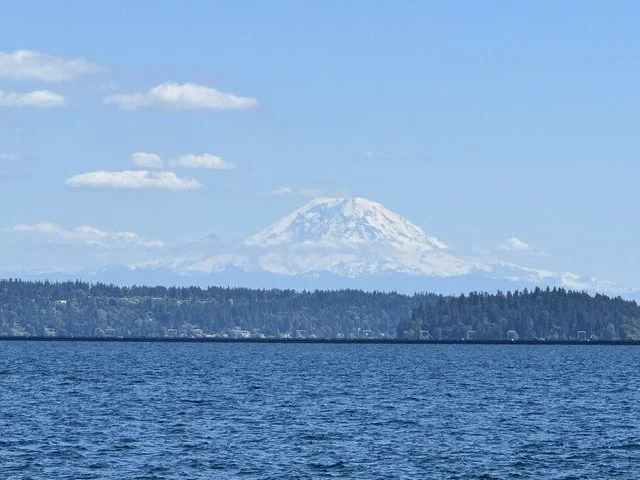 A body of water with a forested shoreline in the background, and a snow-capped mountain under a partly cloudy sky.
