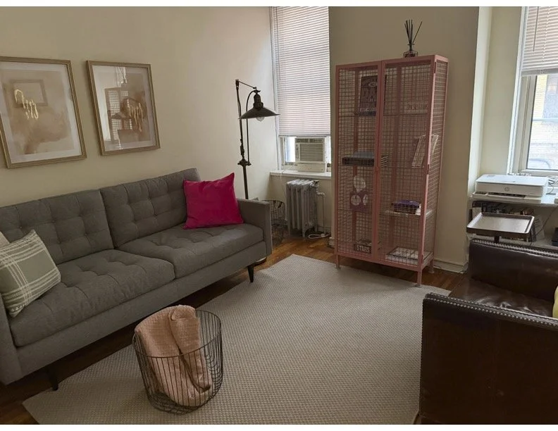 Living room with a gray sofa with a pink pillow and a plaid pillow, a floor lamp, a pink wire cabinet, a window air conditioner, and a table with a printer.