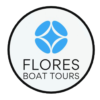 FLORES BOAT TOUS