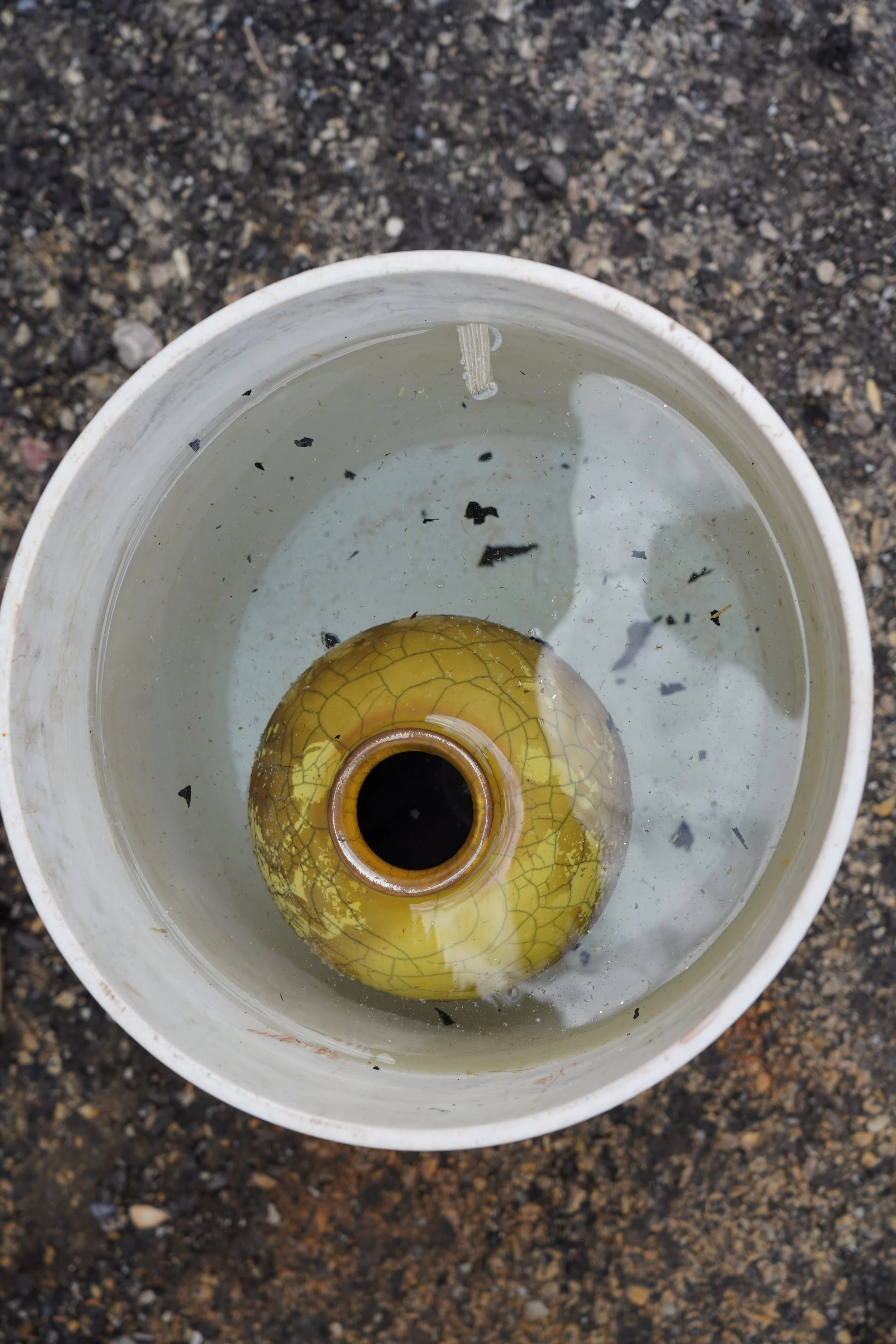 A yellow and brown ceramic object submerged in water inside a white bucket on a gravel ground.