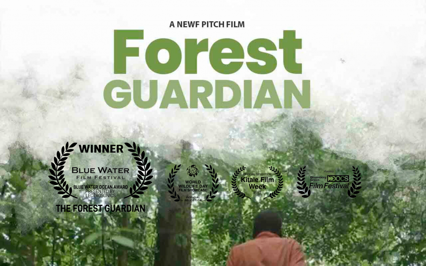 The Forest Guardian Wins  Blue Water Ocean Award