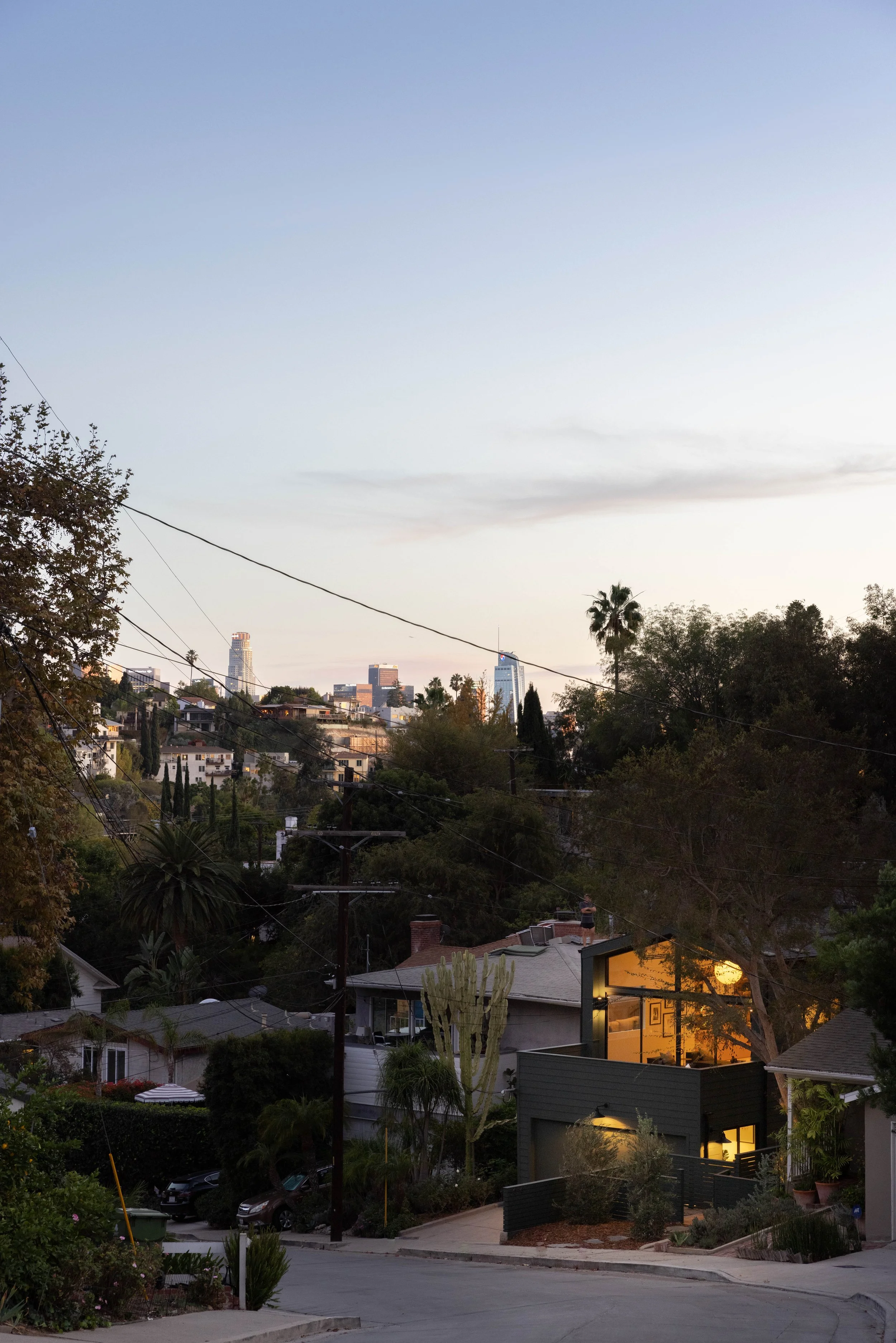 Suburban neighborhood with houses, trees, and a view of the city skyline in the distance during dusk, with a partly lit house in the foreground.