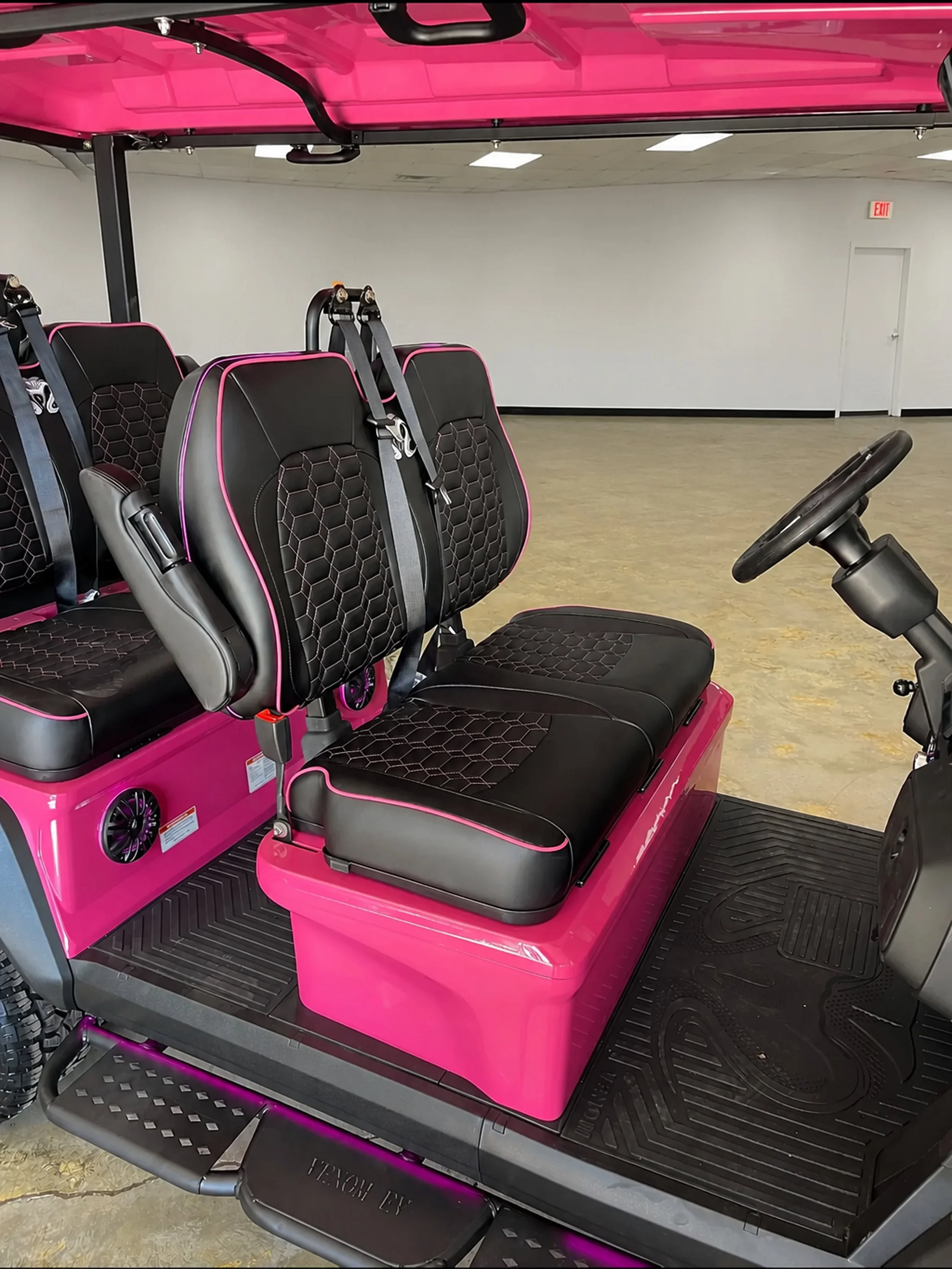 UNEDITED 2026 Venom EV Stealths 4-Seater Super Pink (2) 1.jpg
