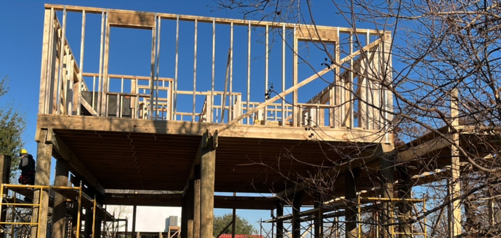 Wooden framing of a building under construction with a clear blue sky in the background and leafless tree branches in the foreground.