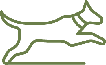Outline drawing of a jumping dog in motion.
