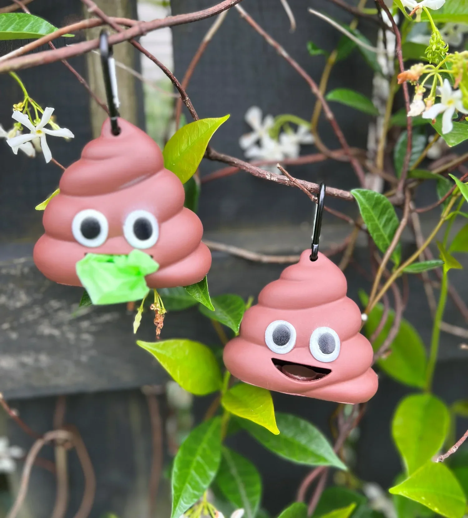 Poo Bag Dispenser