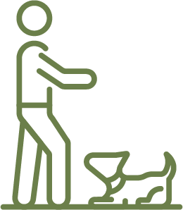 Person walking a dog on a leash.