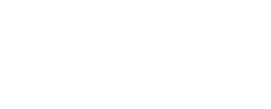 Wolfies Walkies | Professional Dog Walker