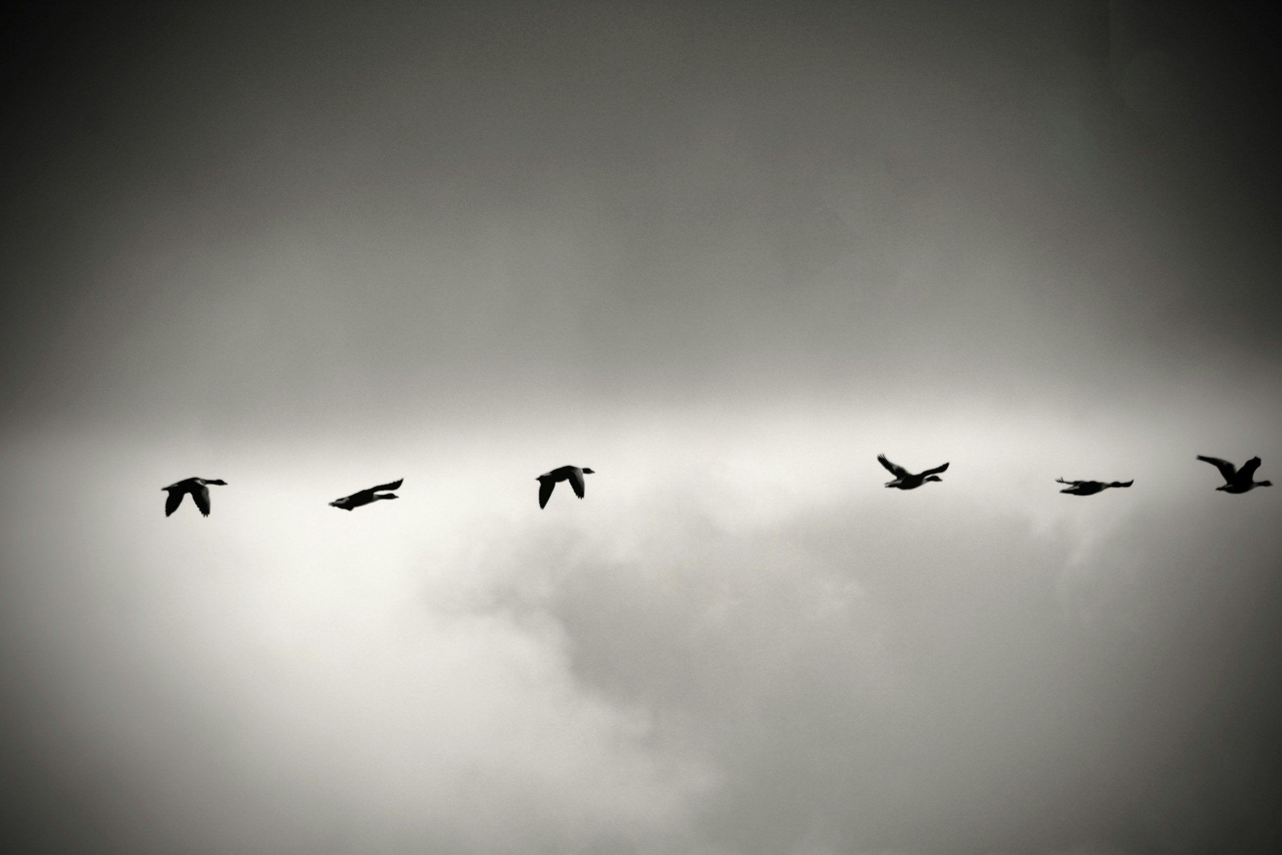 You cannot have a regulated team with a dysregulated leader.