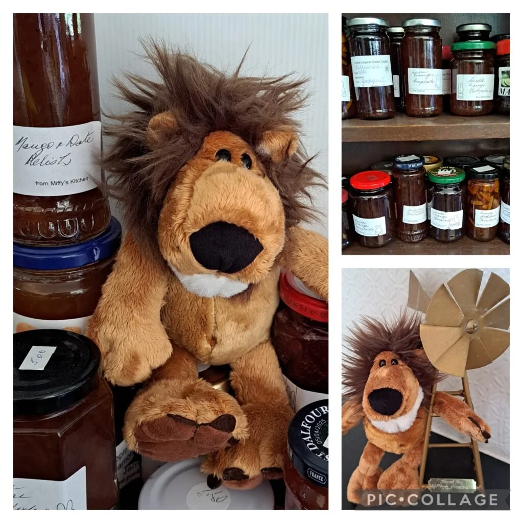 A plush lion toy surrounded by jars of homemade preserves or jams on shelves, and a photo of the plush lion next to a vintage studio light.