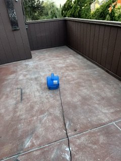 IMG_1553.jpeg