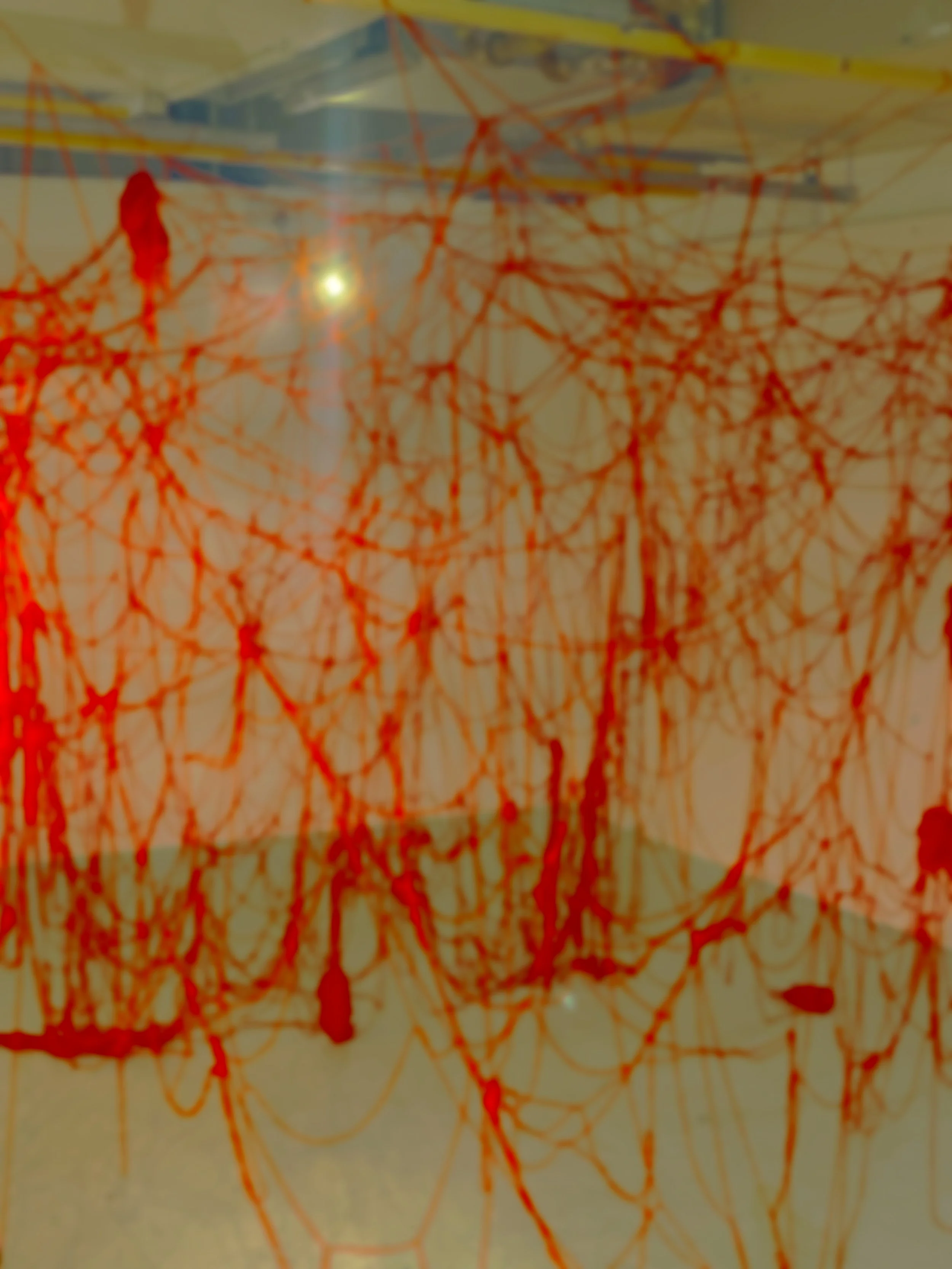 study+of+red+spider+lily-3.jpg