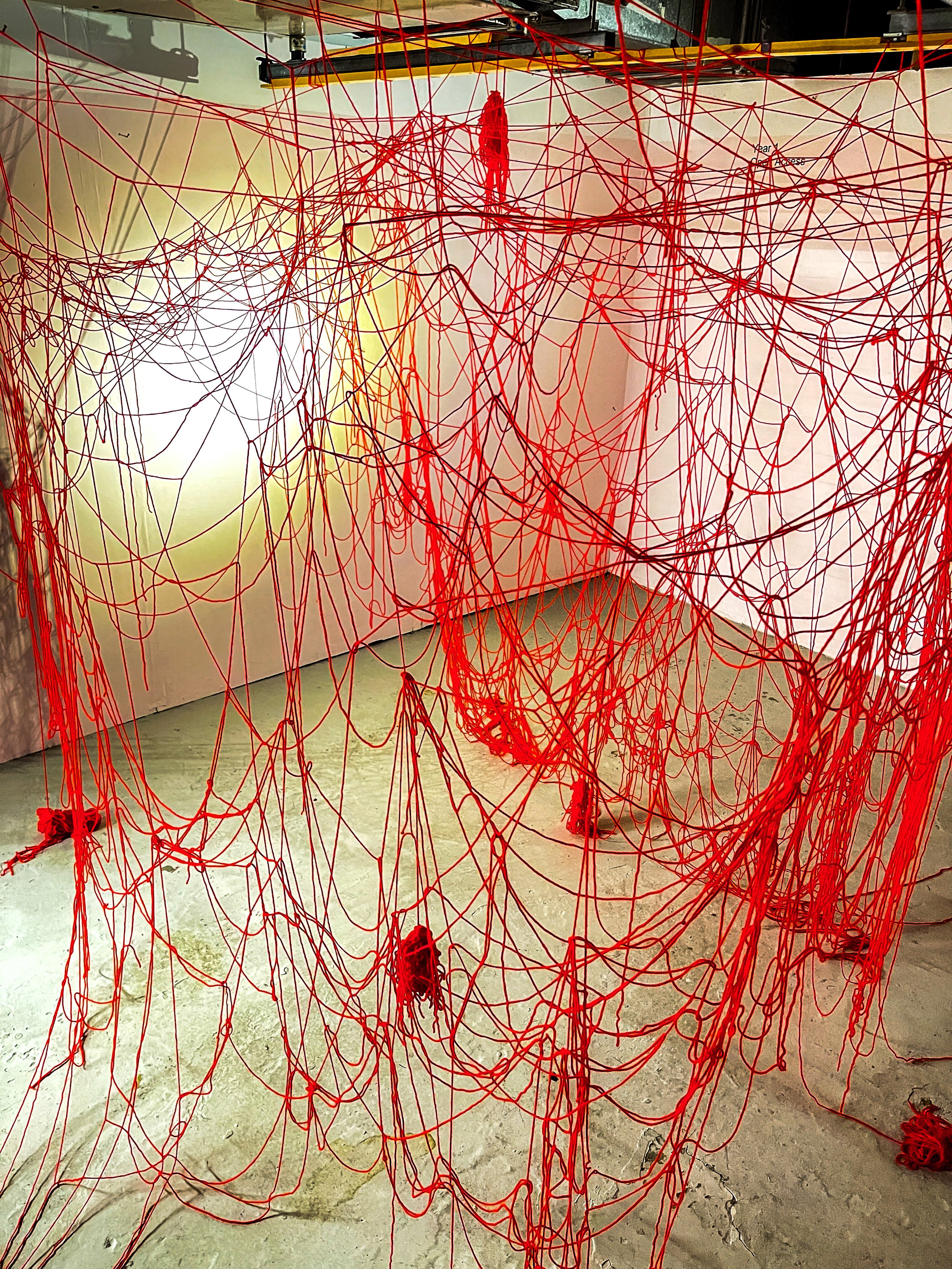 study of red spider lily-4.jpg