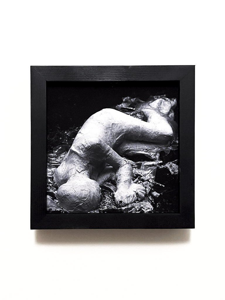 Unwritten Embrace Falling Tree Fallen Free (2024-2026) Framed photograph