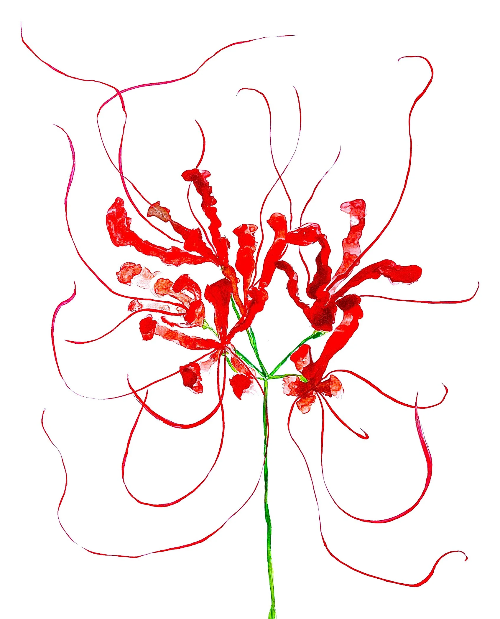 Study of Red Spider Lily III (2023) Watercolour on paper