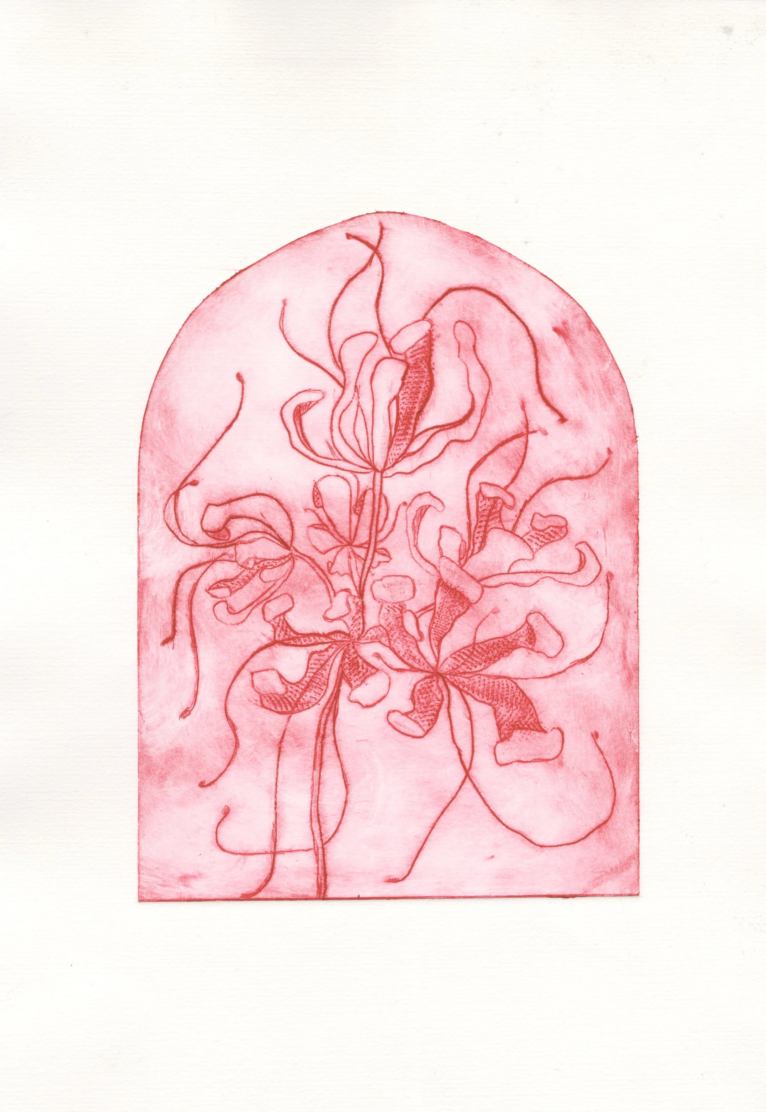Red Spider Lilies (2023) Oil intaglio print