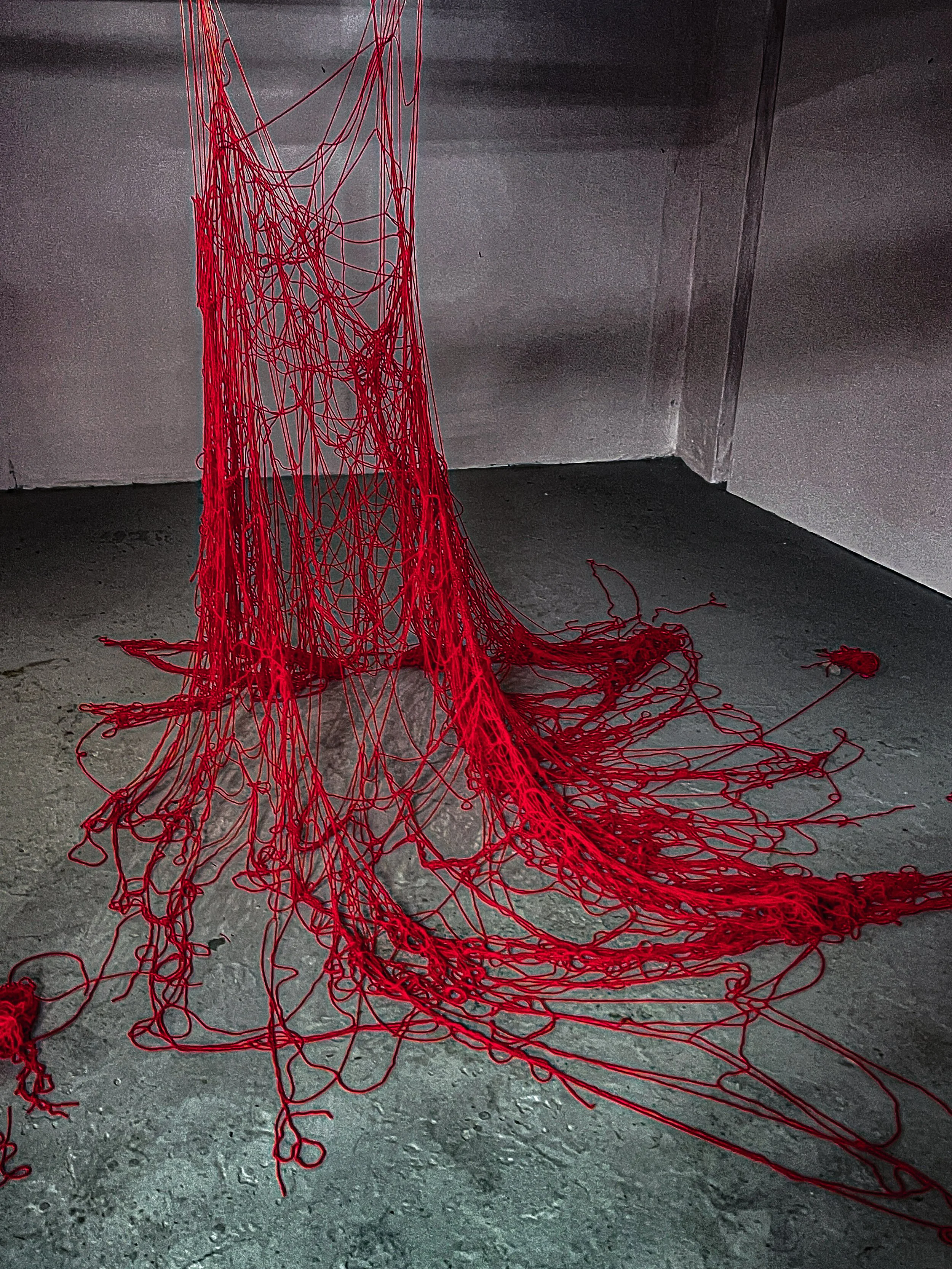 study of red spider lily-5.jpg