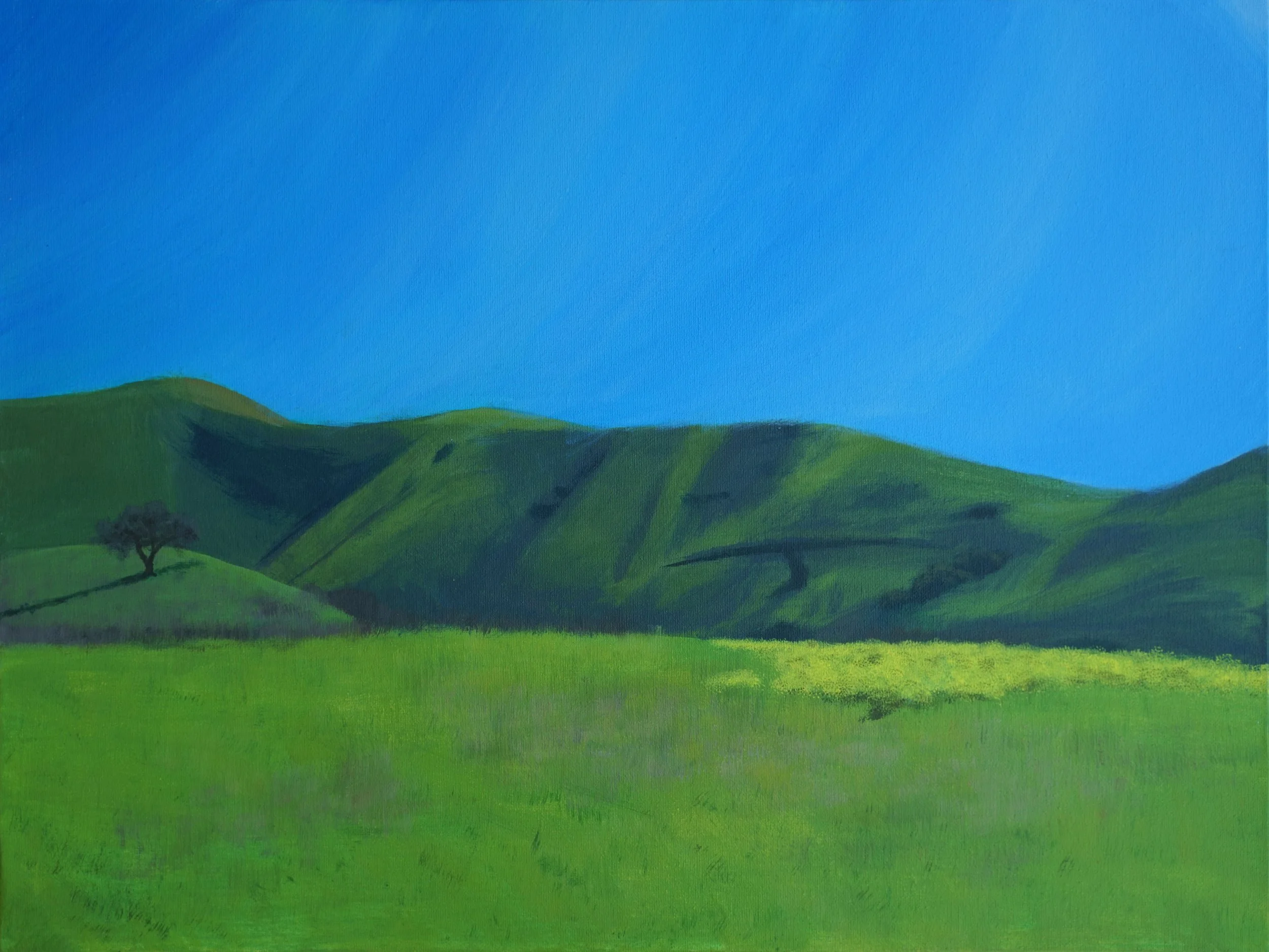 AthenianDiabloHillsPainting2Crop.jpg
