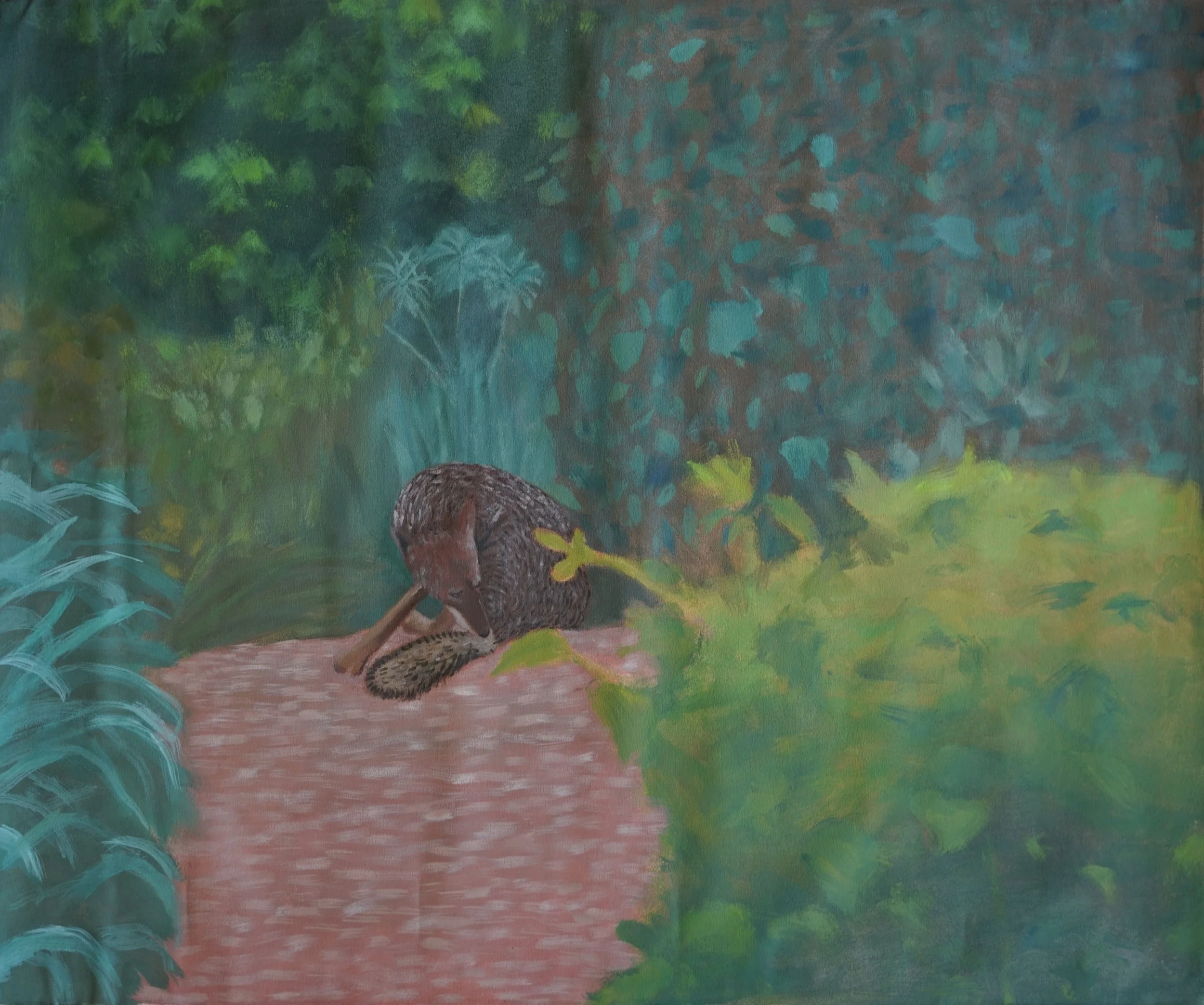 Coyote_in_My_Backyard.jpg