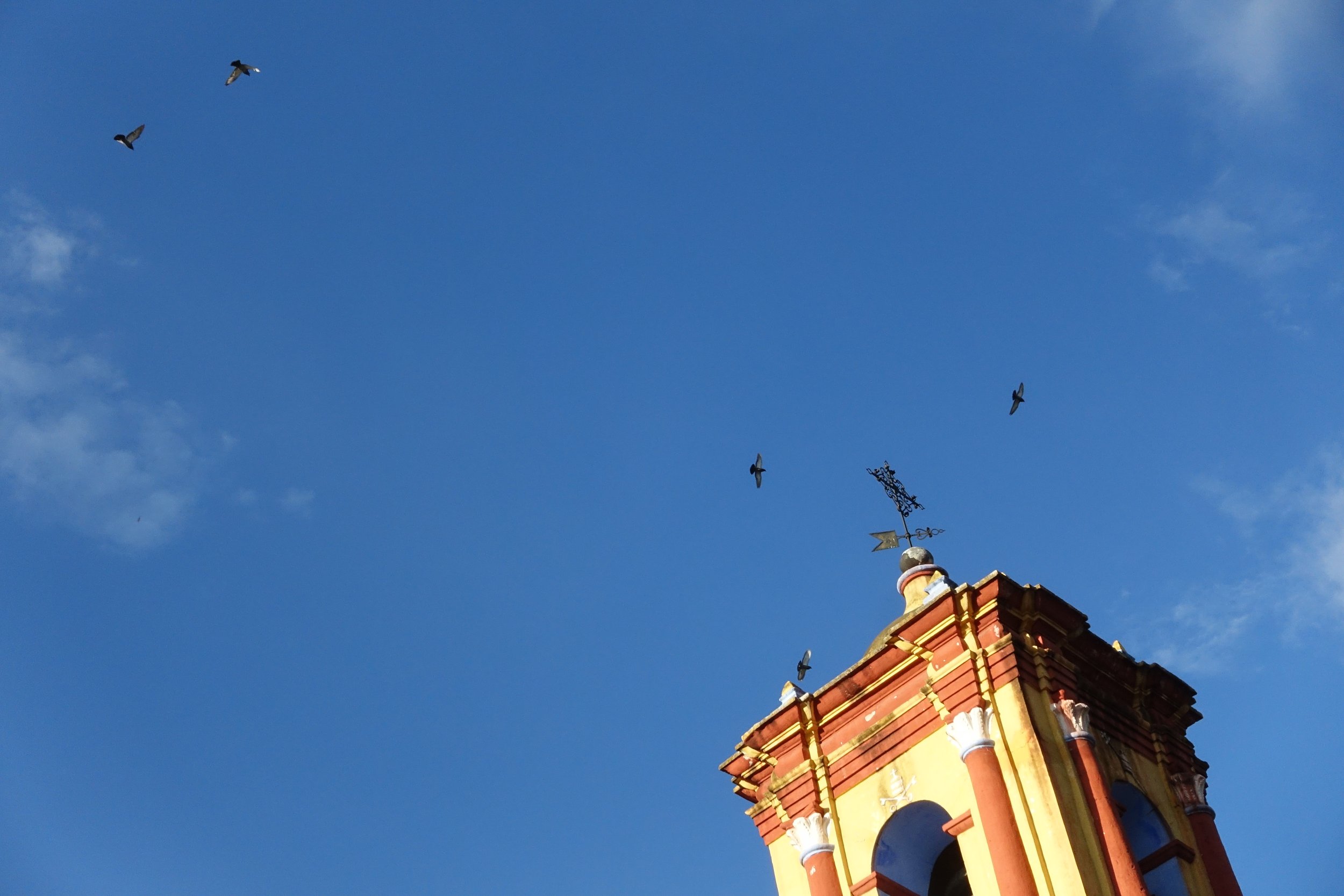 DSC05526.JPG
