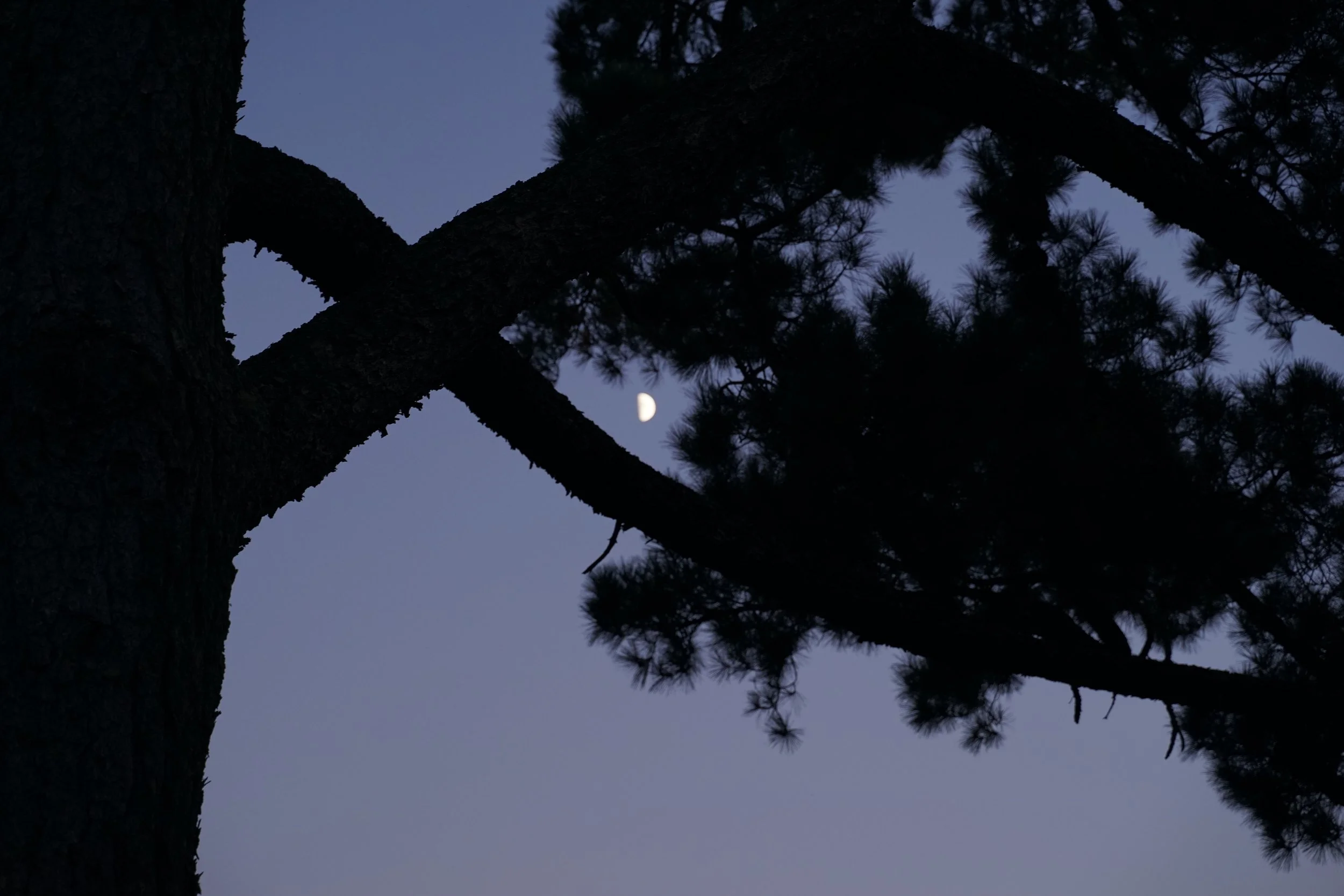 DSC00065 copy.JPG