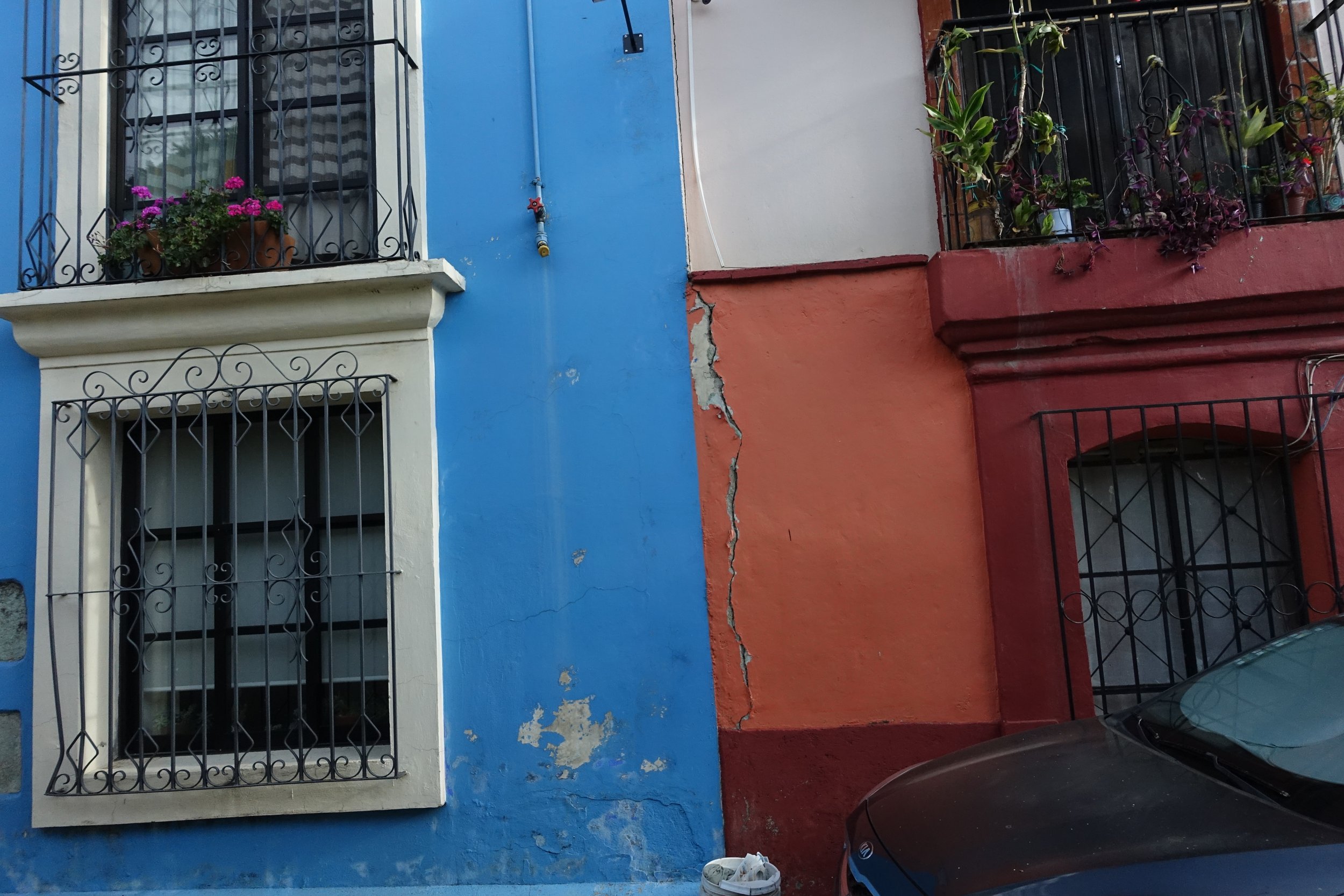 DSC05438.JPG