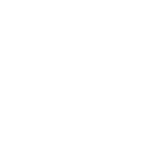 Logo of Silver Ball Co. Pinball Apparel, featuring a pinball and pinball paddles in a circular design.
