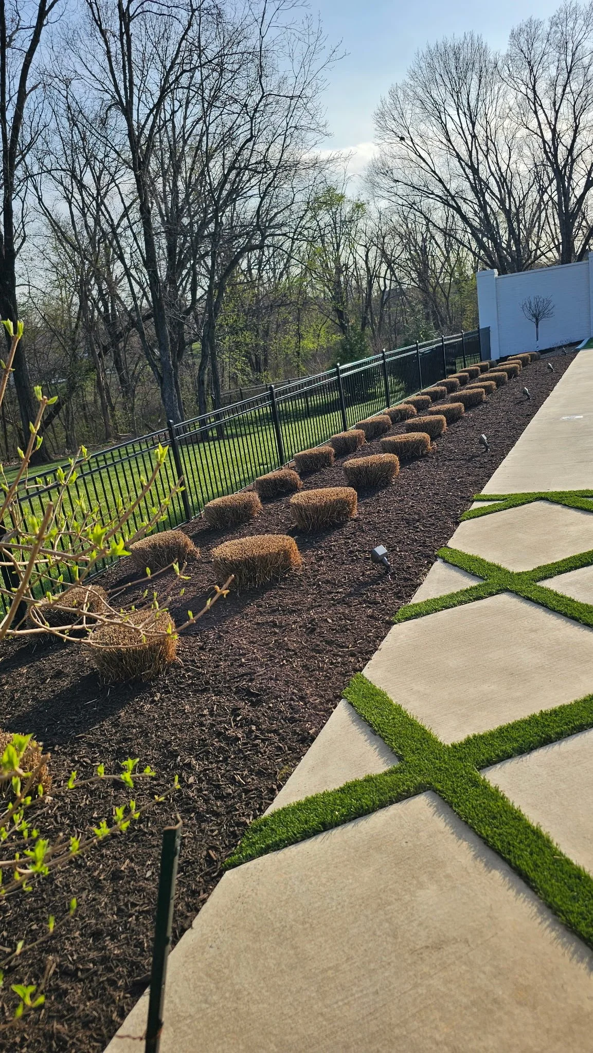 A landscaped backyard with a paved walkway bordered by grass, a garden bed with small bushes, a black metal fence, and tall, leafless trees in the background.
