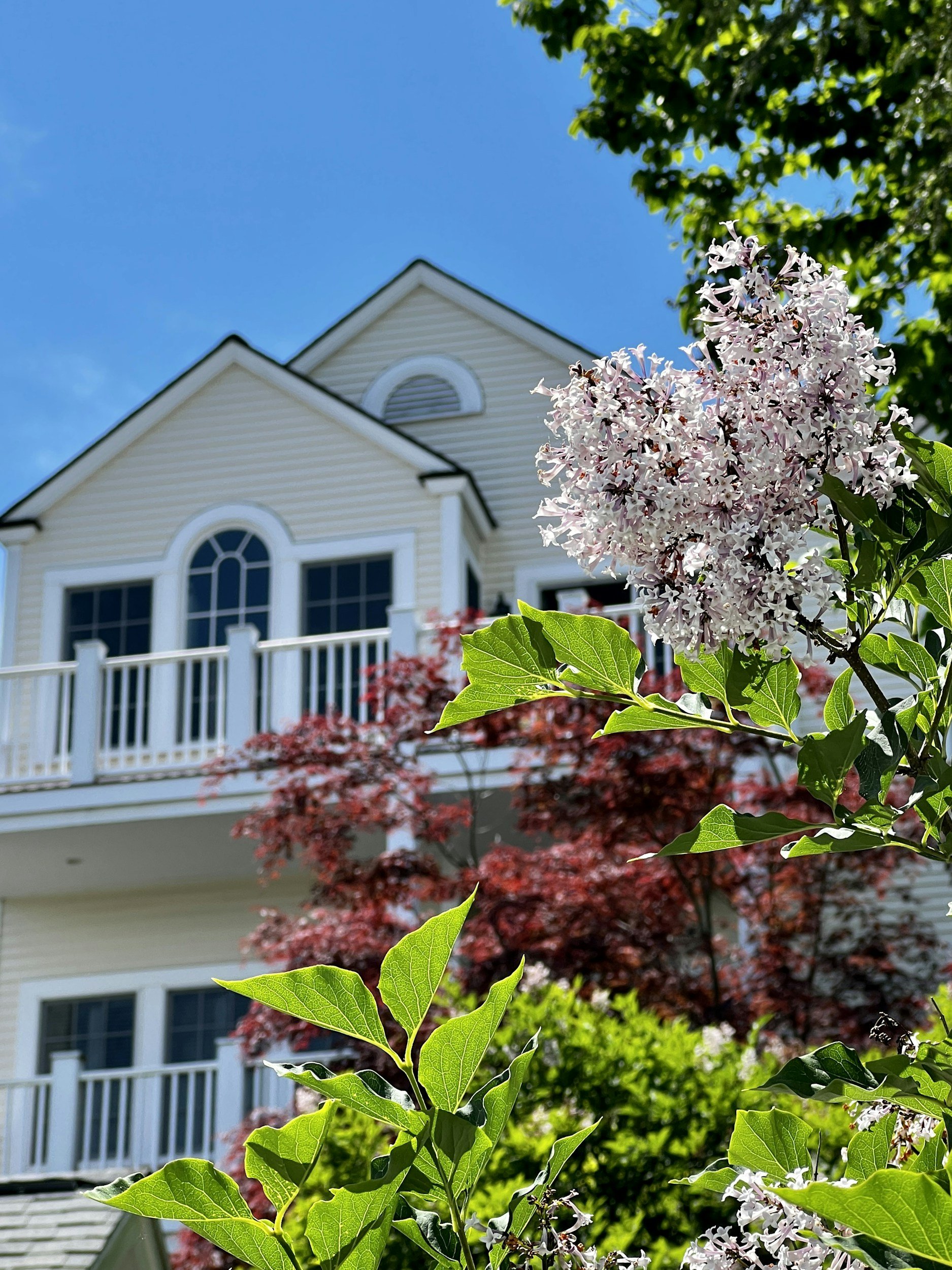 View of a white house with a balcony, surrounded by green and red-leafed trees, under a bright blue sky with some clouds.