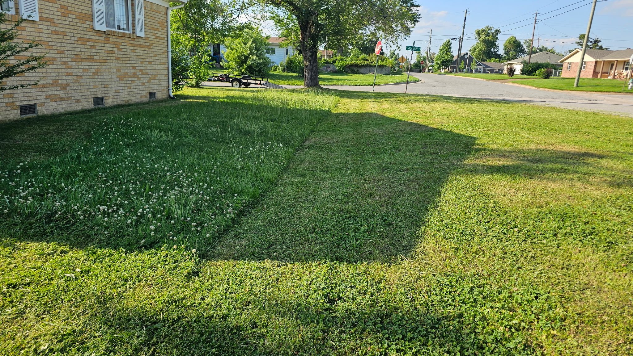 A residential neighborhood lawn with a partially mowed area, a brick house on the left, and a street with houses, trees, and power lines in the background.