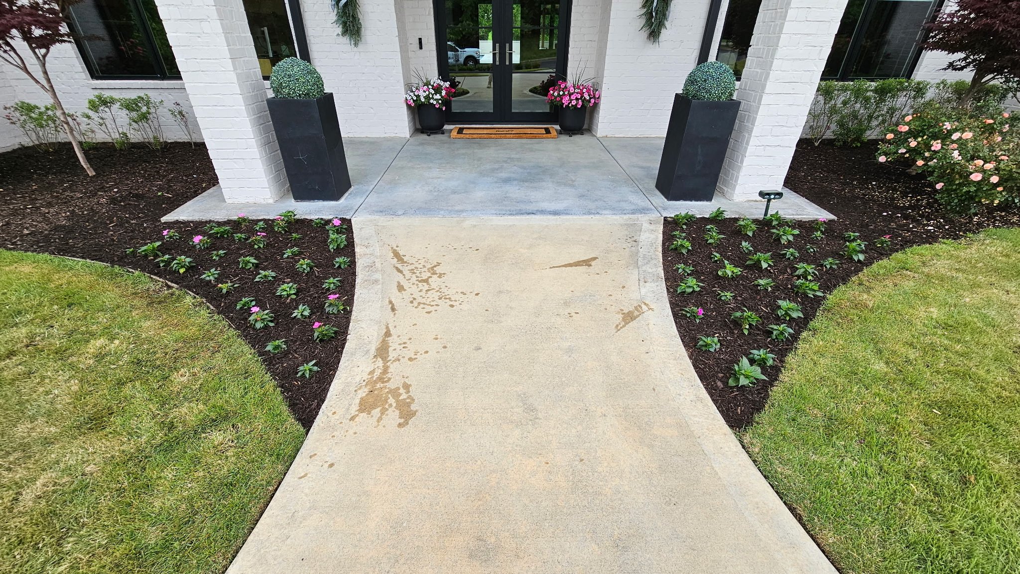 Concrete sidewalk leading to a glass door entrance of a building, with black planters containing large bushes and pink and white flowers on either side. Flower beds with pink flowers and green shrubs are adjacent.