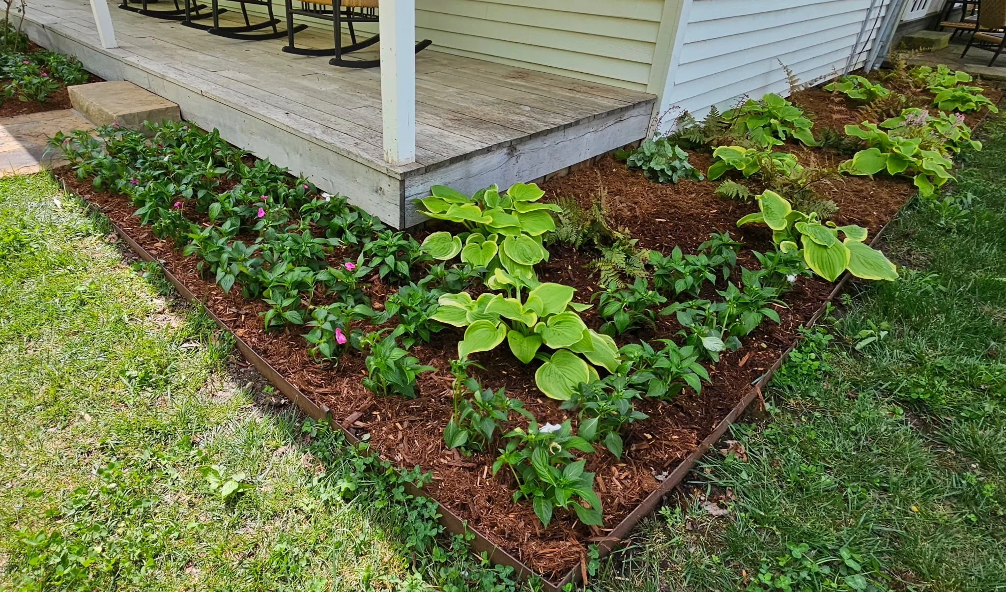 A backyard garden with flower beds along the edge of a wooden porch. The flower beds contain green leafy plants, some with pink flowers, and the garden bed on the right has vibrant green foliage. The porch is raised with a white railing and has black