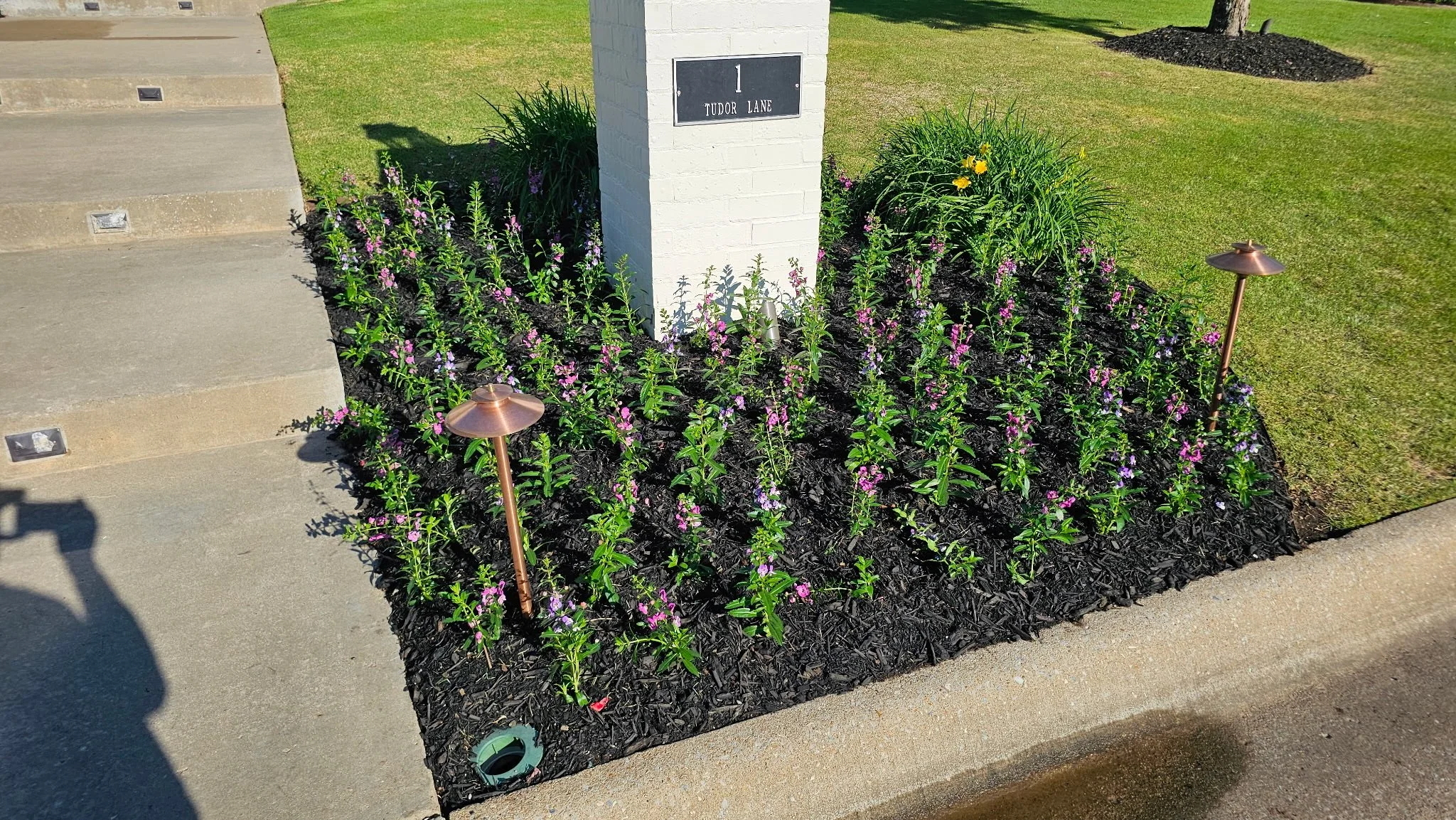 A landscaped garden bed with pink and purple flowers, dark mulch, and two small pathway lights, situated next to a white brick signpost with the address '1 Tudor Lane' in front of a grassy lawn.