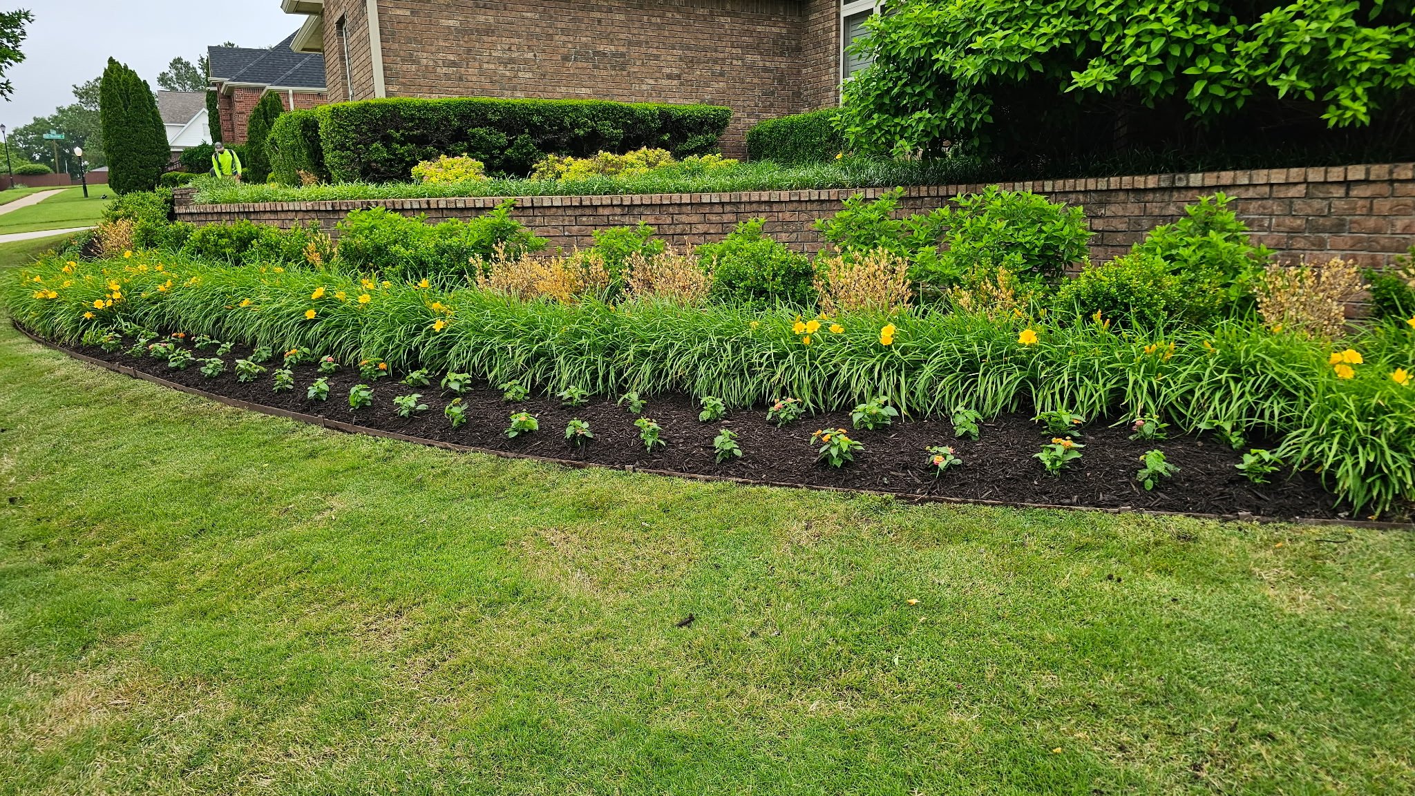 Well-maintained garden bed with various green plants and yellow flowers in front of a brick house, with a person in a neon vest and helmet working nearby.