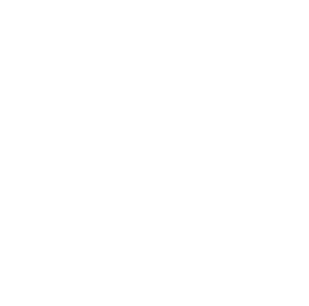 Large firm monogram / mark reading 'SS' in white capital letters.